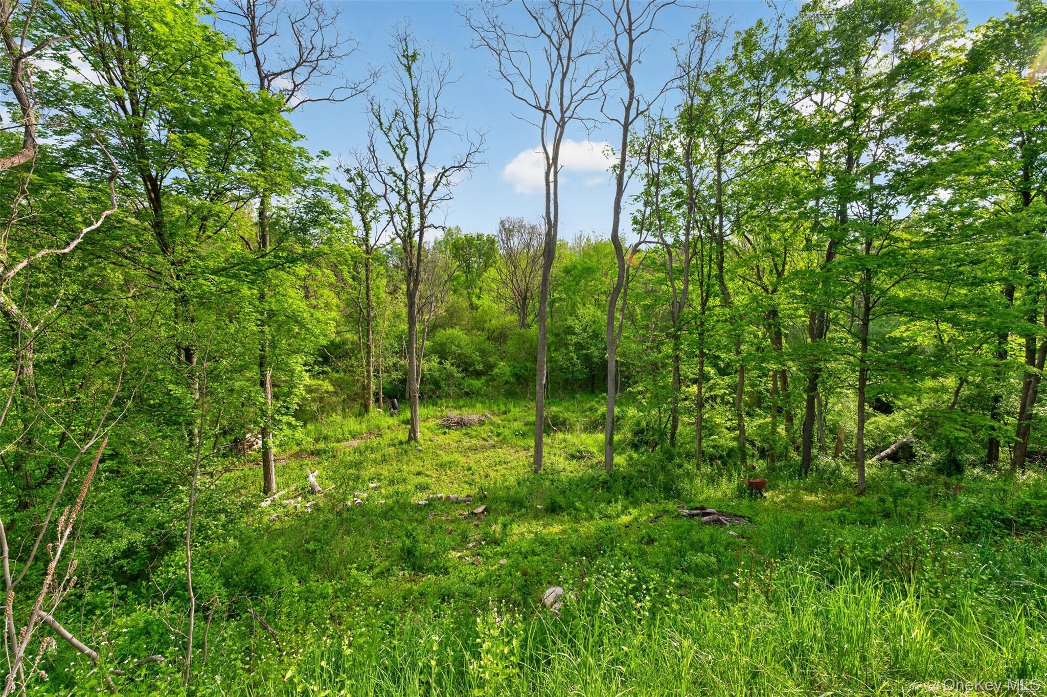 Single Family Route 145 Greene County, NY 12423, MLS-1003307-25