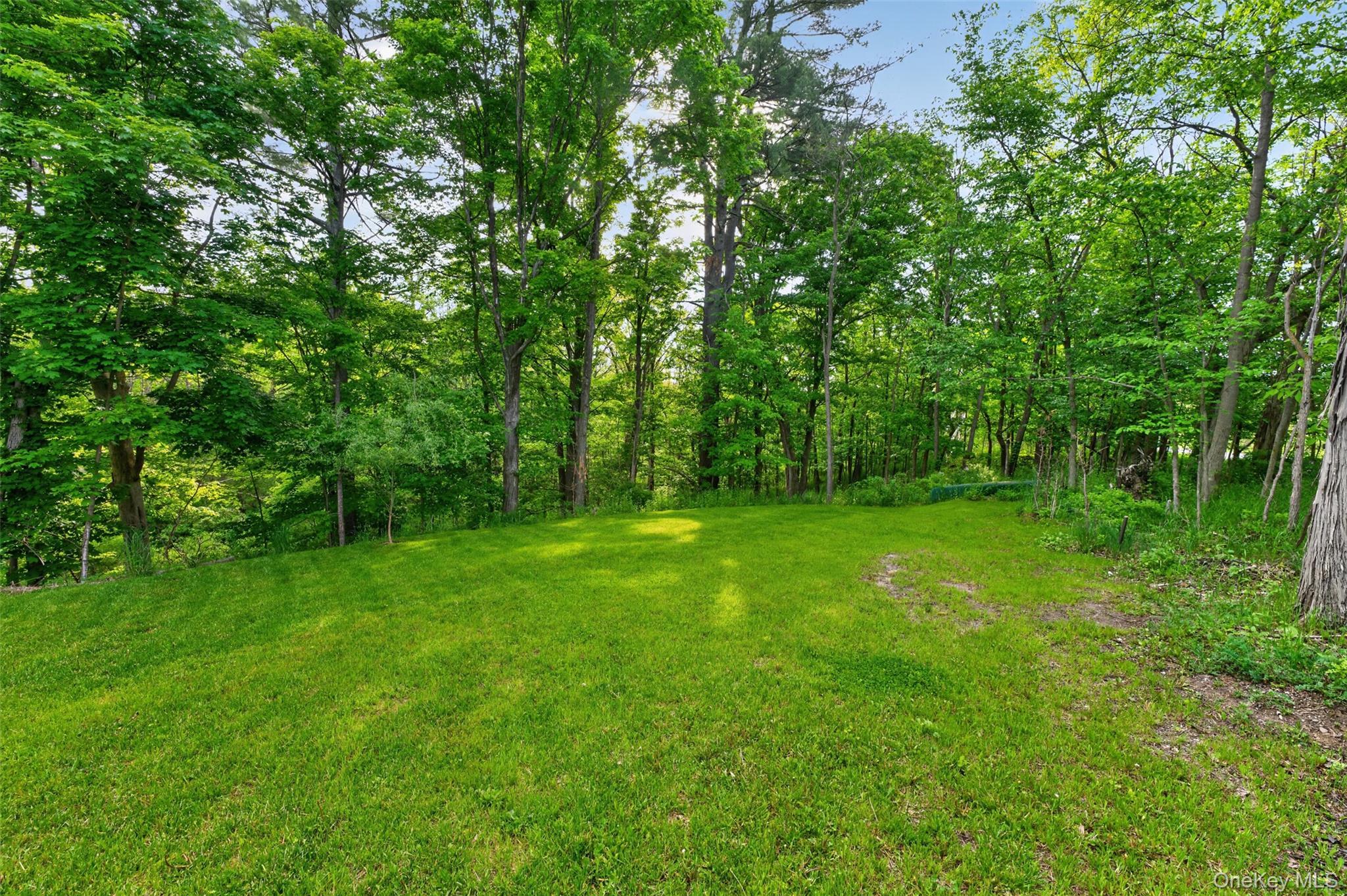 Single Family Route 145 Greene County, NY 12423, MLS-1003307-29