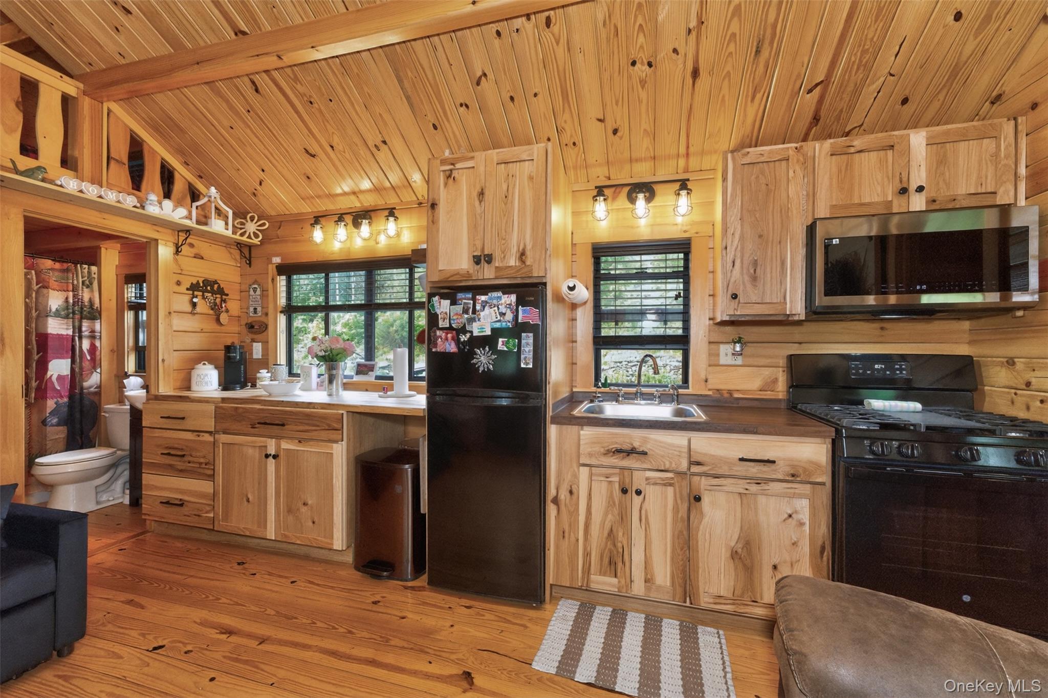 Single Family Route 145 Greene County, NY 12423, MLS-1003307-6