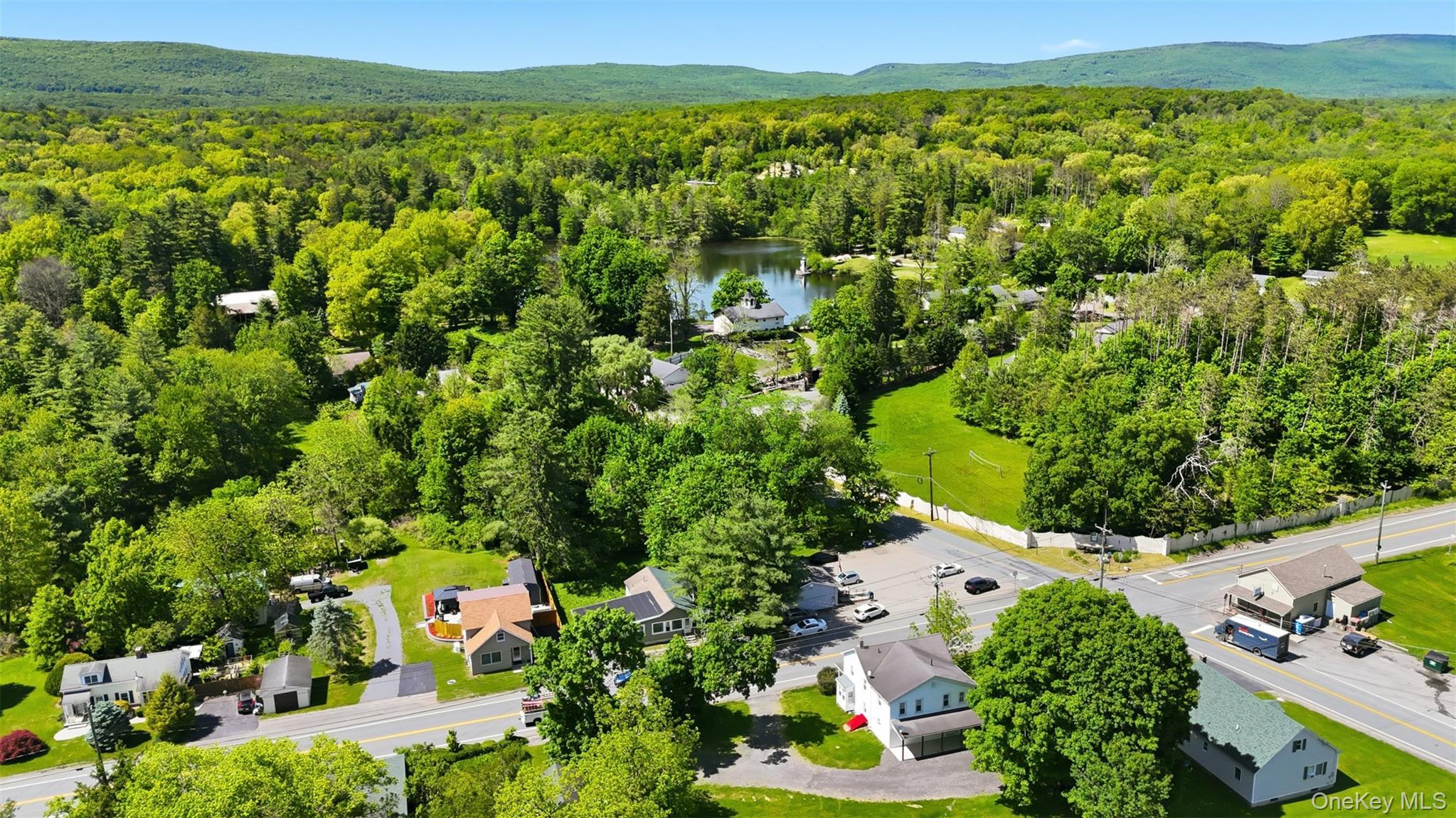 Single Family Burlingham Road Sullivan County, NY 12566, MLS-1003319-44