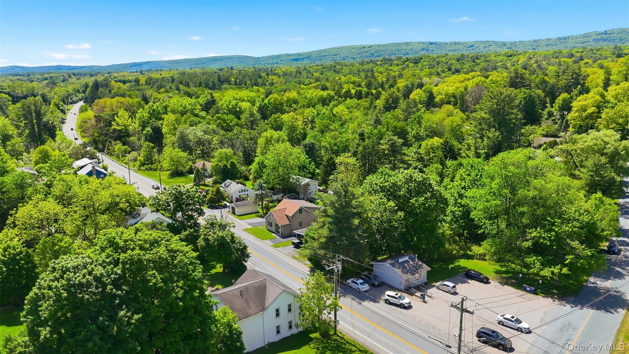 Single Family Burlingham Road Sullivan County, NY 12566, MLS-1003319-45