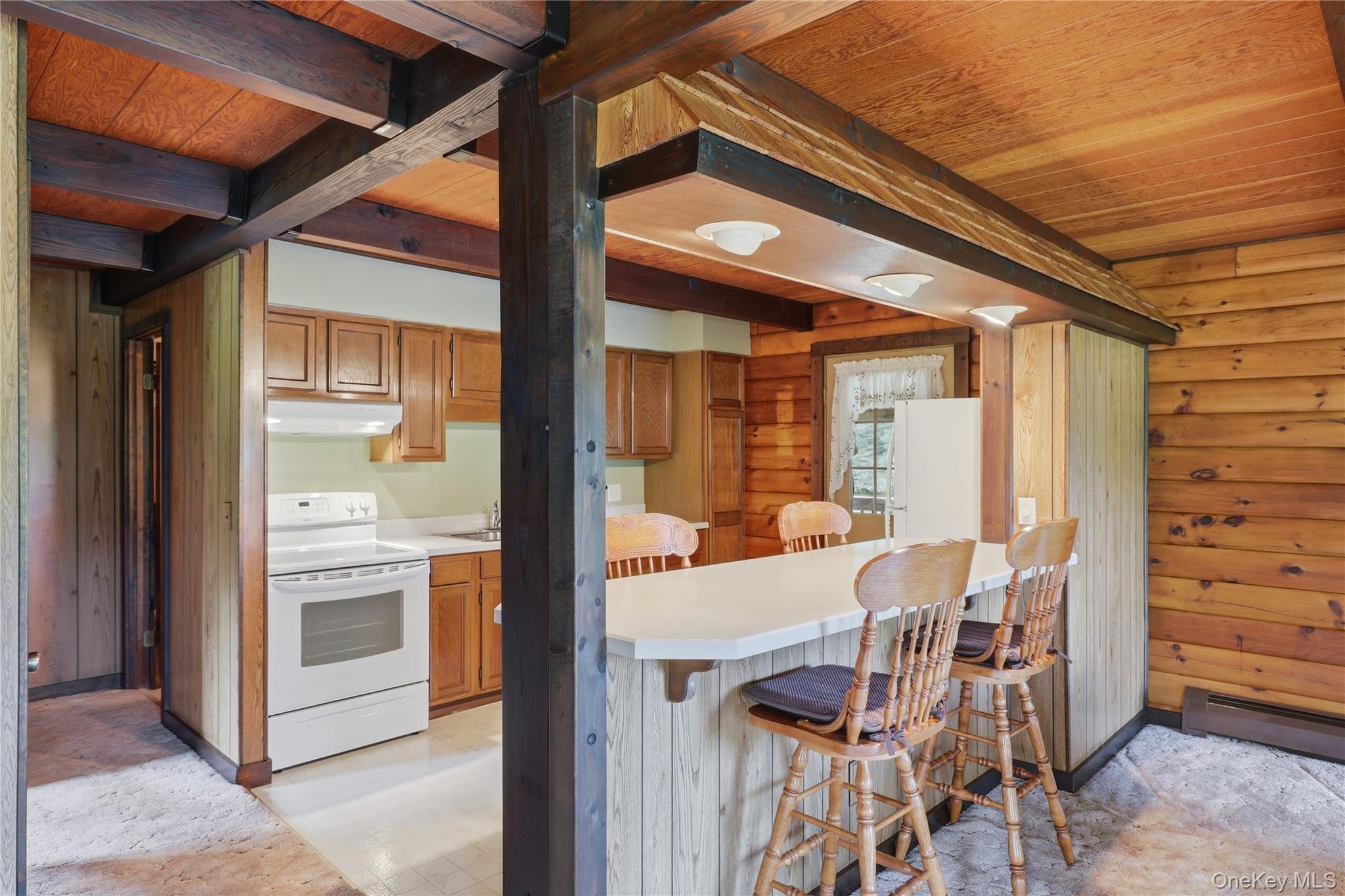Single Family Linder Drive Ulster County, NY 12561, MLS-1003348-11