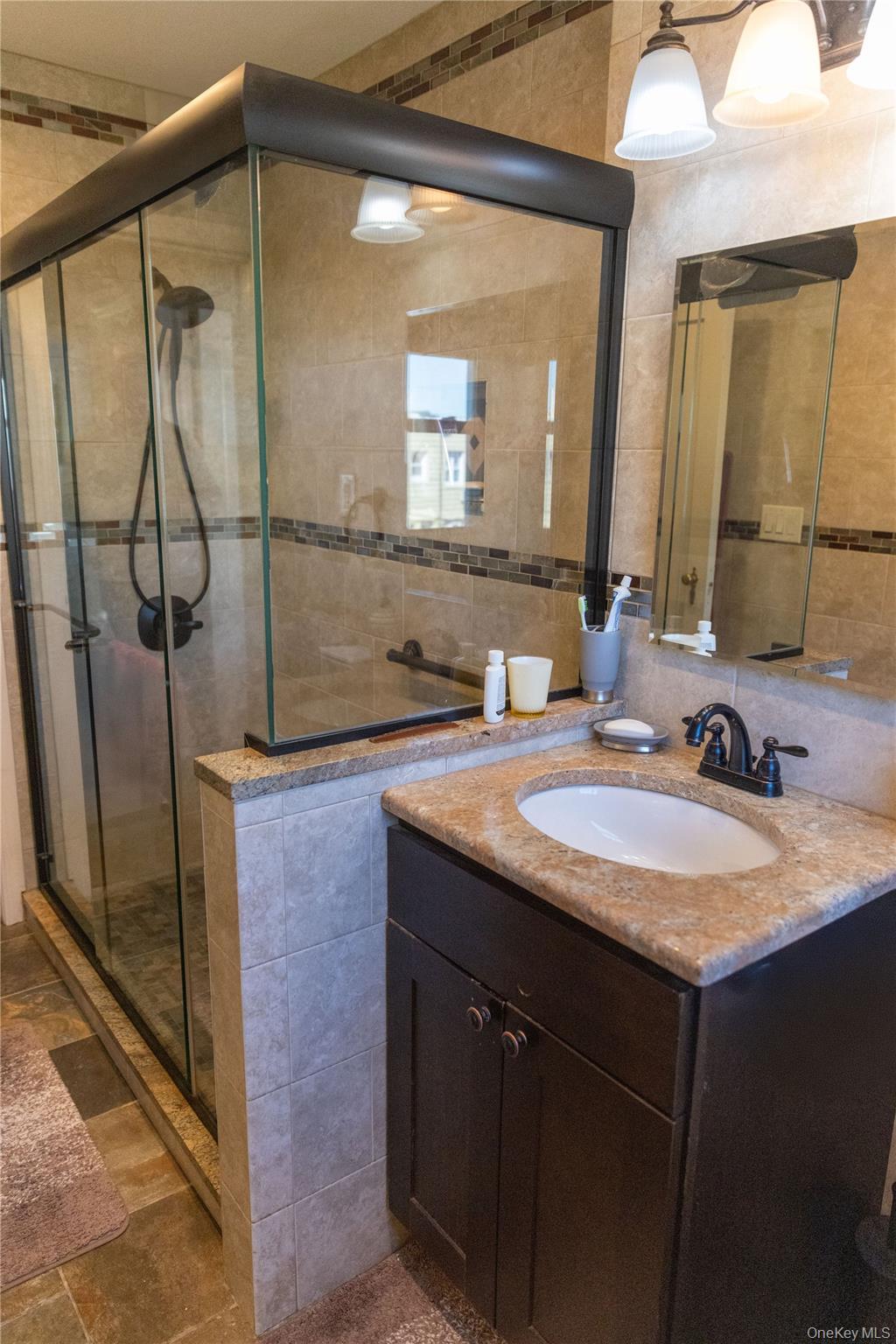 Single Family Dry Harbor Queens, NY 11379, MLS-1003353-10