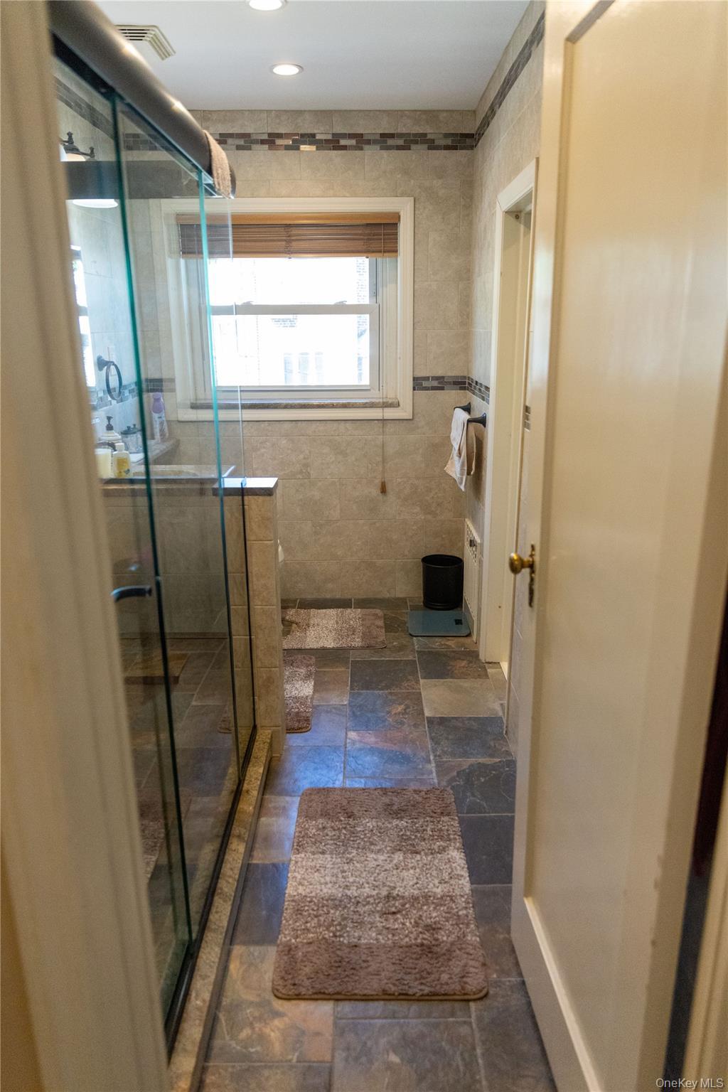 Single Family Dry Harbor Queens, NY 11379, MLS-1003353-11