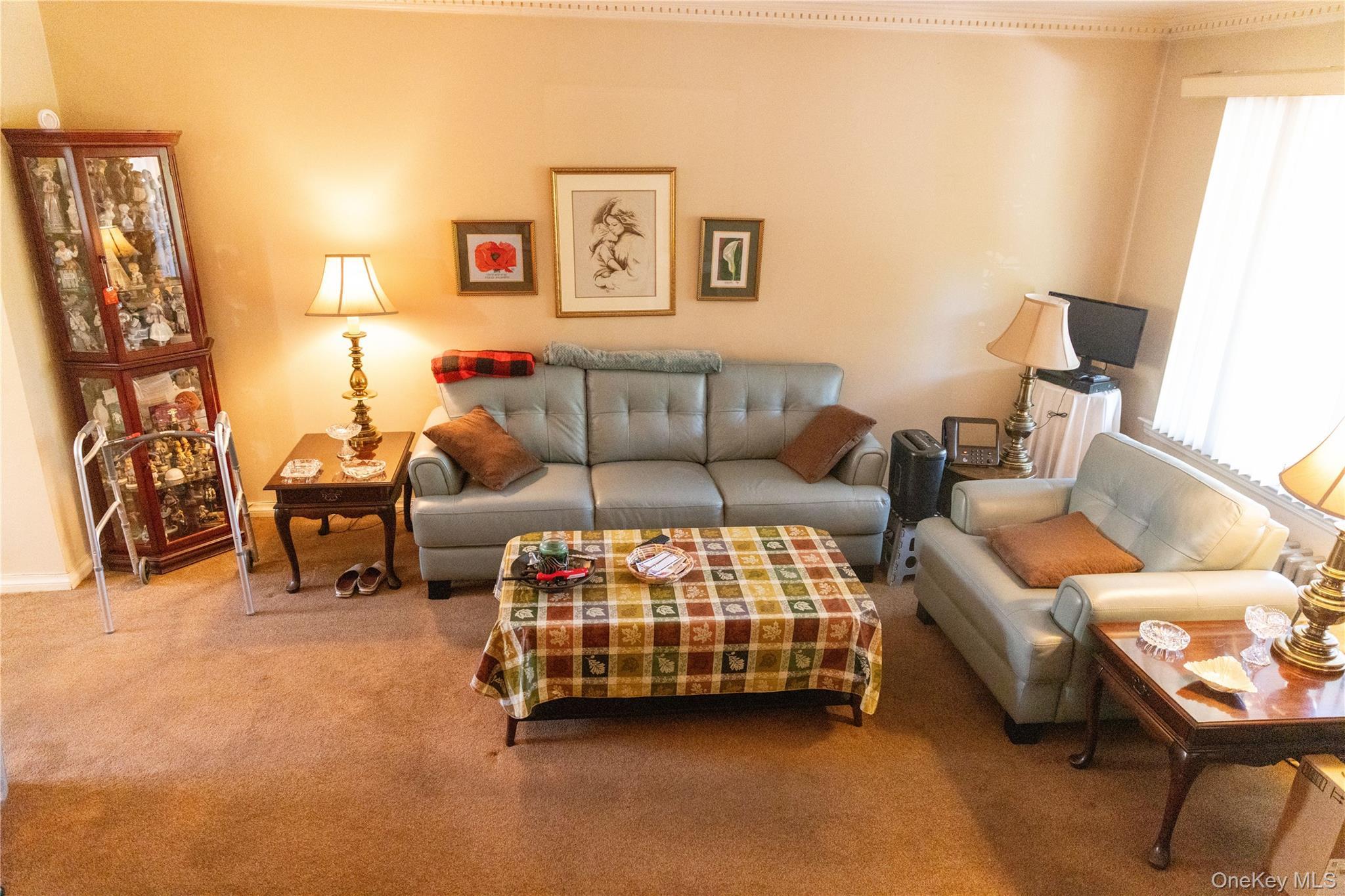 Single Family Dry Harbor Queens, NY 11379, MLS-1003353-6