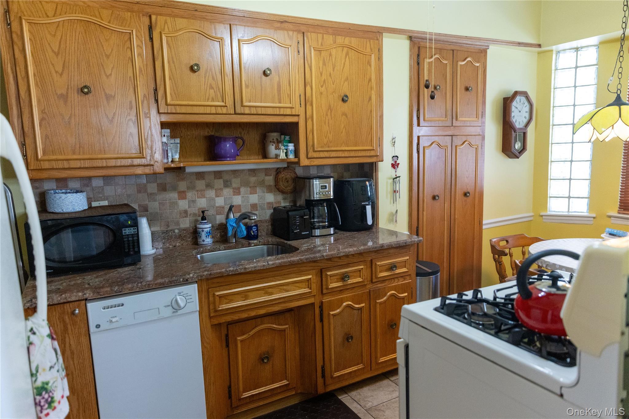 Single Family Dry Harbor Queens, NY 11379, MLS-1003353-8