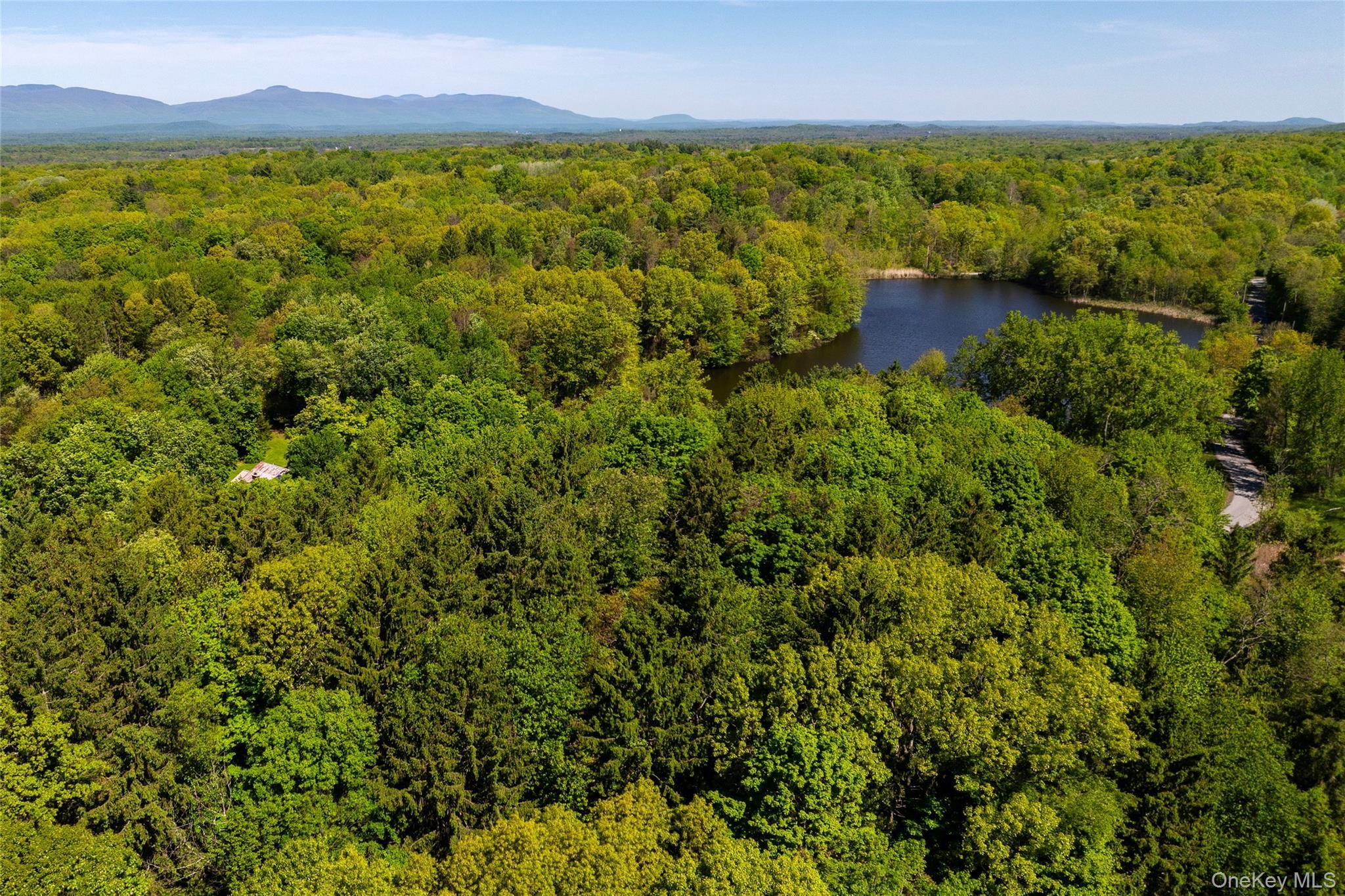 Single Family Pells Road Dutchess County, NY 12572, MLS-1003365-10