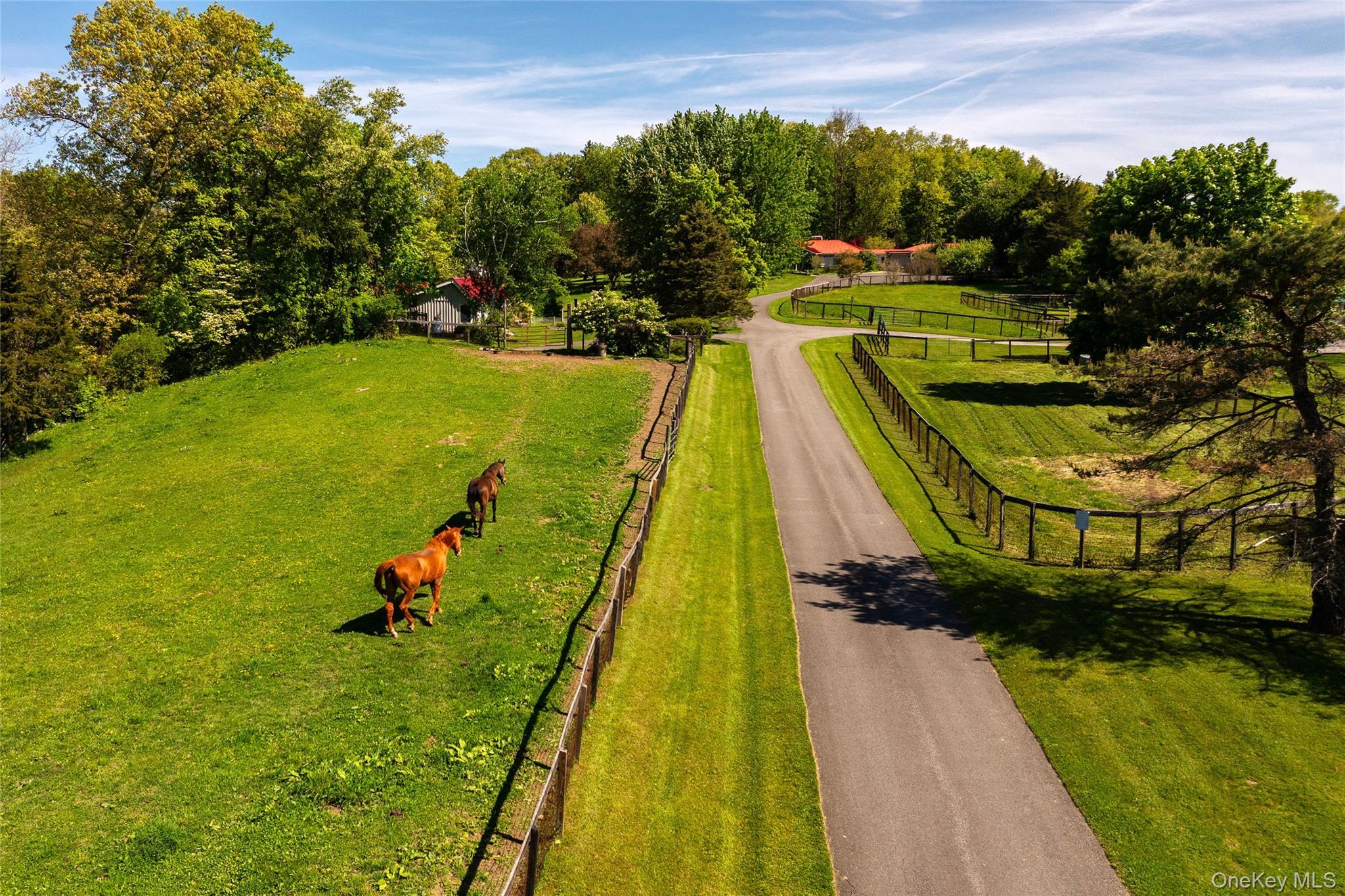 Single Family Pells Road Dutchess County, NY 12572, MLS-1003365-2
