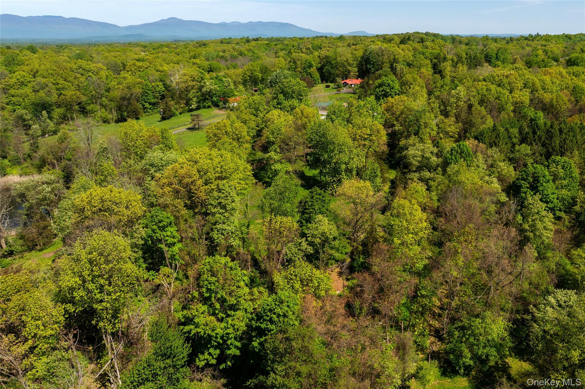 Single Family Pells Road Dutchess County, NY 12572, MLS-1003365-22