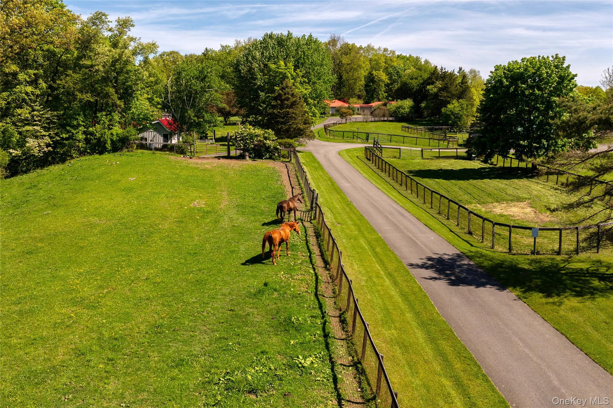 Single Family Pells Road  Dutchess County, NY 12572, MLS-1003365-28