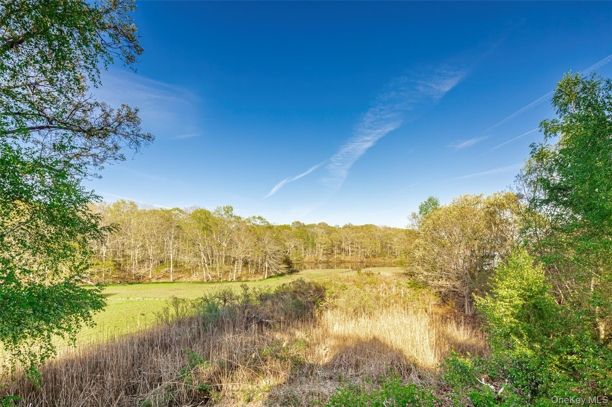 Single Family Irene Lane  Suffolk County, NY 11964, MLS-1003398-24