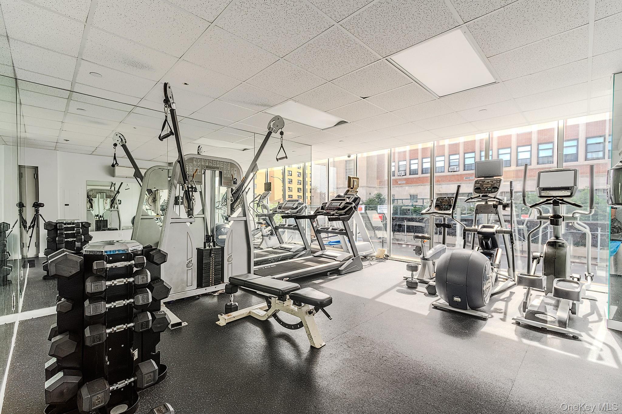 Condo End  Brooklyn, NY 11235, MLS-1003543-19