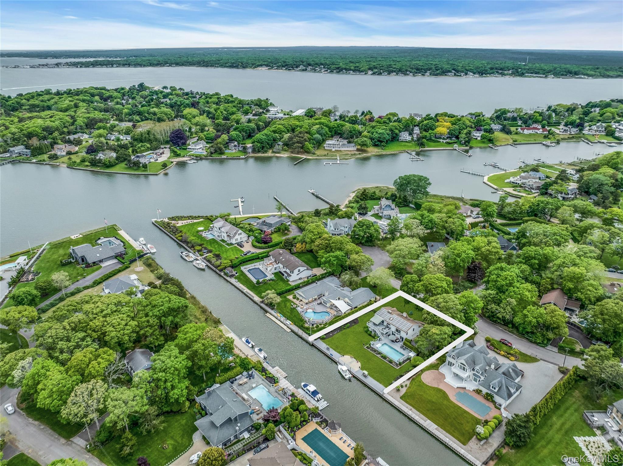 WebID:  1003586