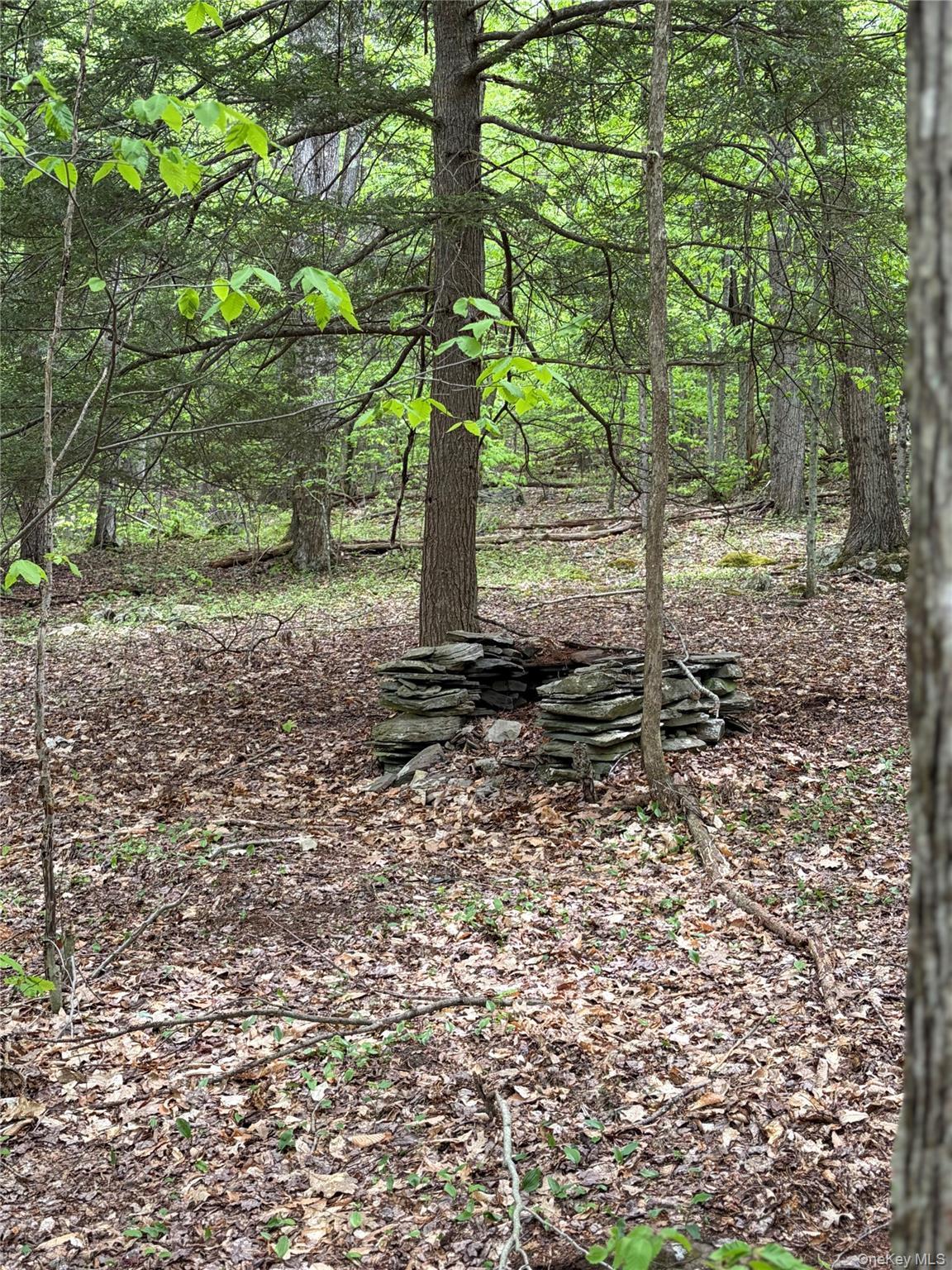 Single Family County Highway 26  Delaware County, NY 13782, MLS-1003611-11