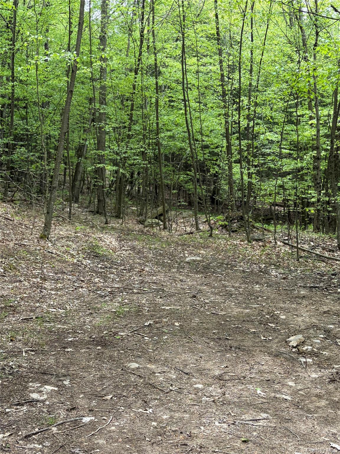 Single Family County Highway 26  Delaware County, NY 13782, MLS-1003611-12