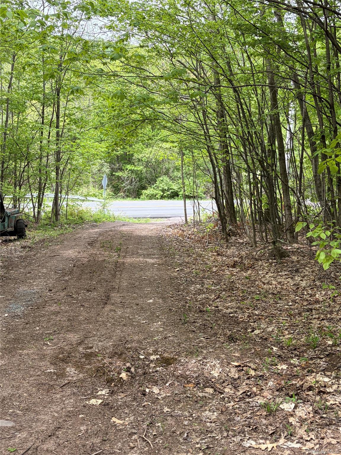 Single Family County Highway 26  Delaware County, NY 13782, MLS-1003611-13