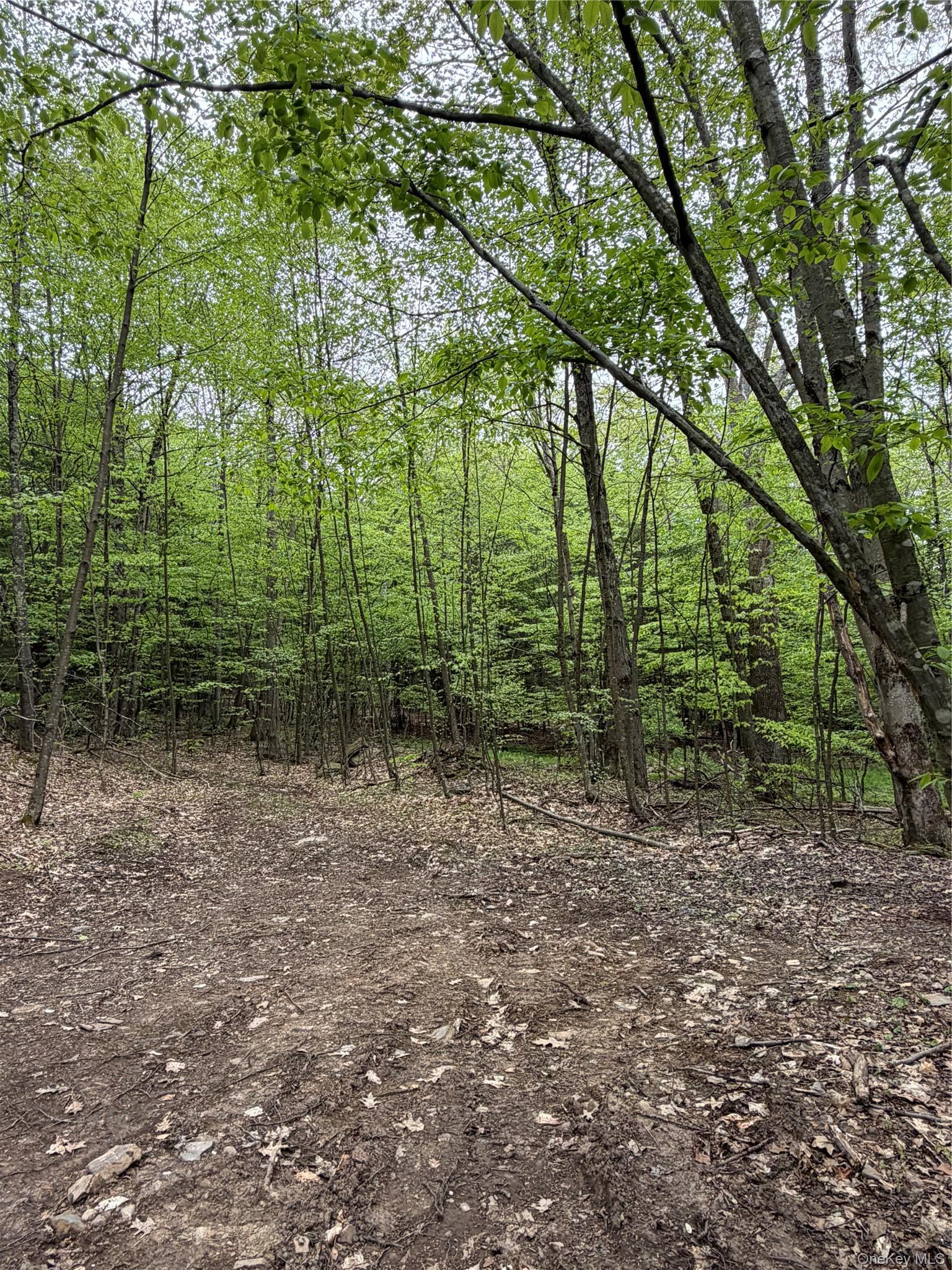 Single Family County Highway 26  Delaware County, NY 13782, MLS-1003611-2