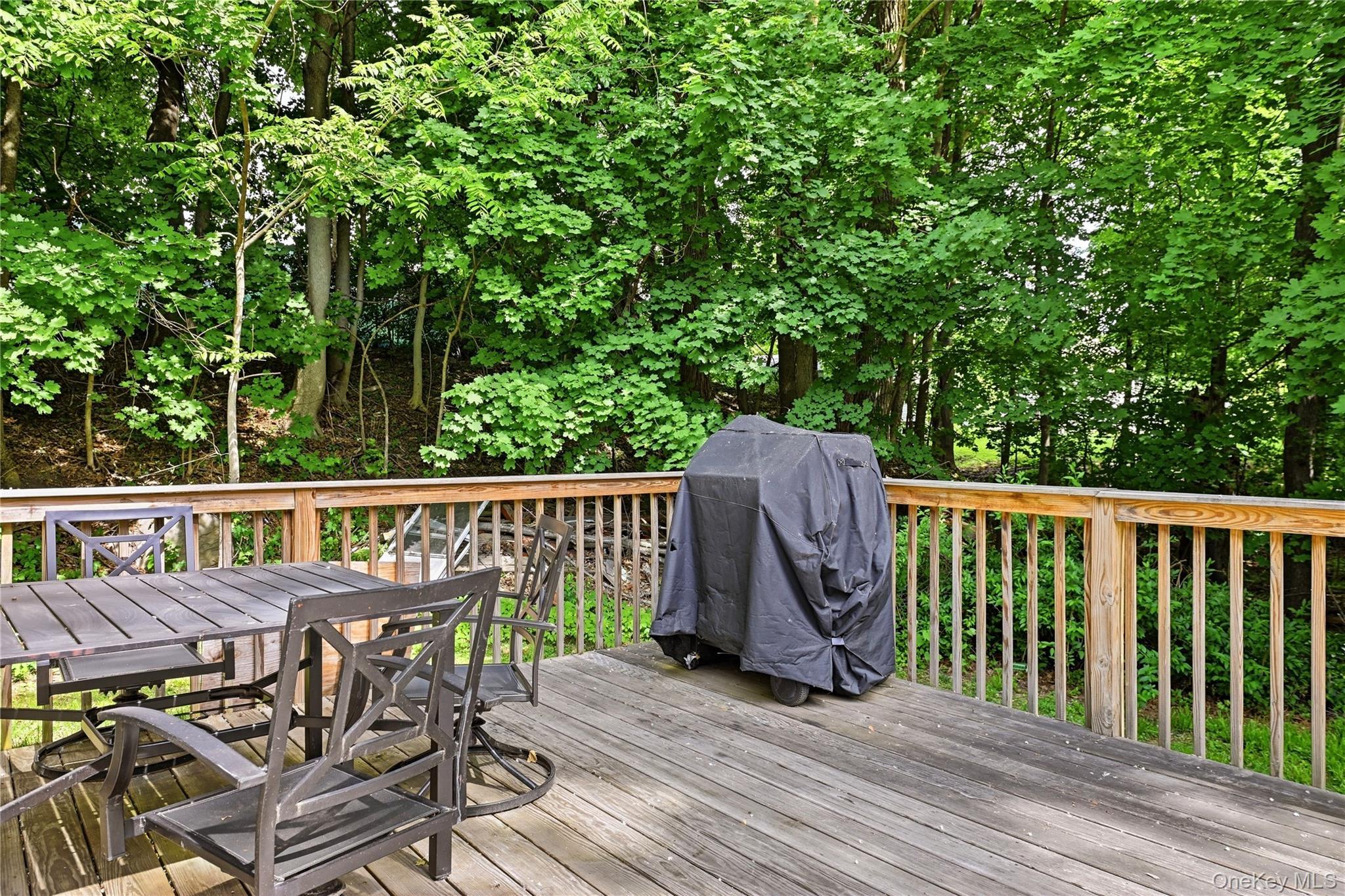 Single Family Riverview  Orange County, NY 12553, MLS-1003639-9