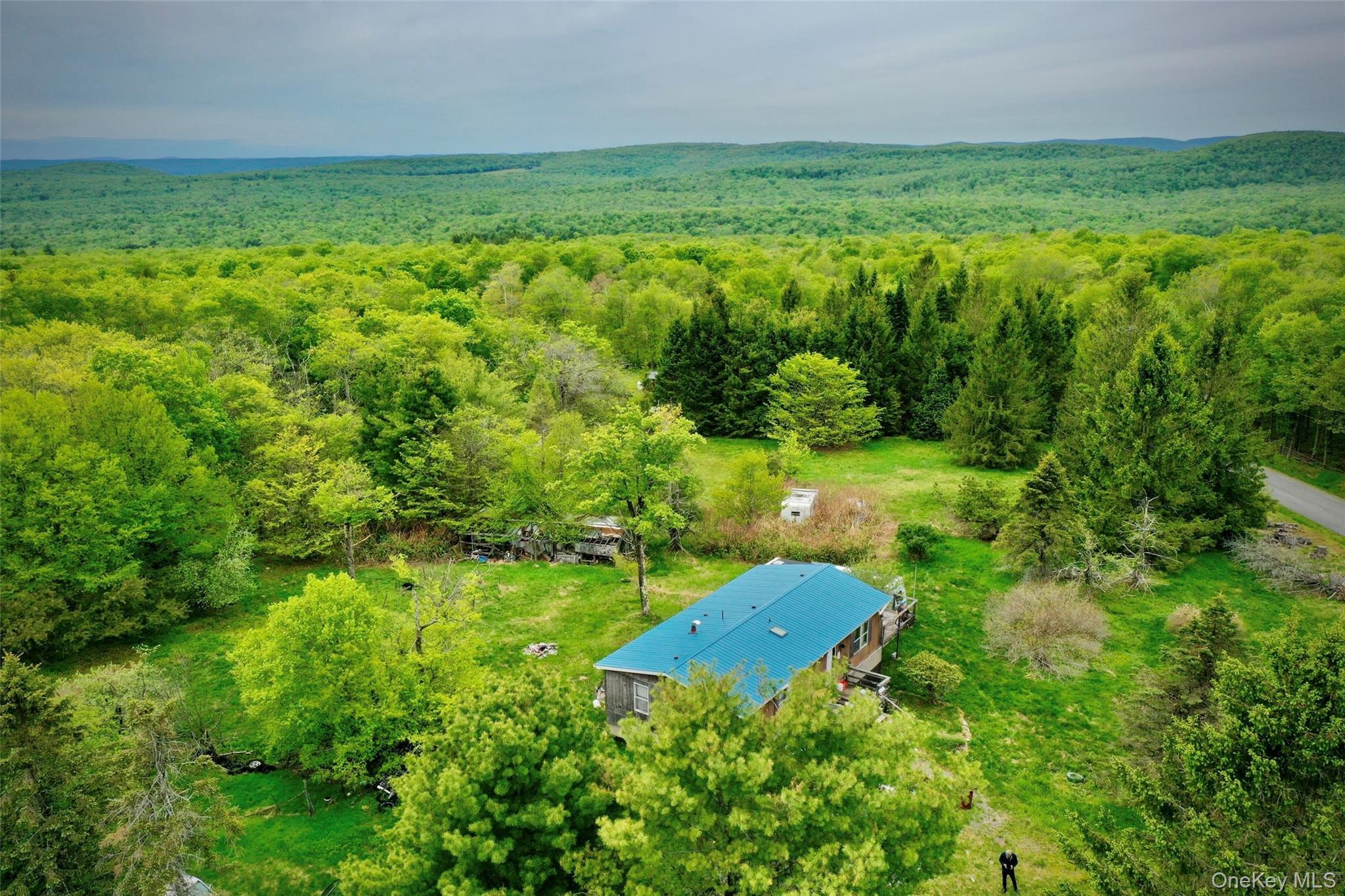 Single Family Old Hunter Road Sullivan County, NY 12758, MLS-1003751-10