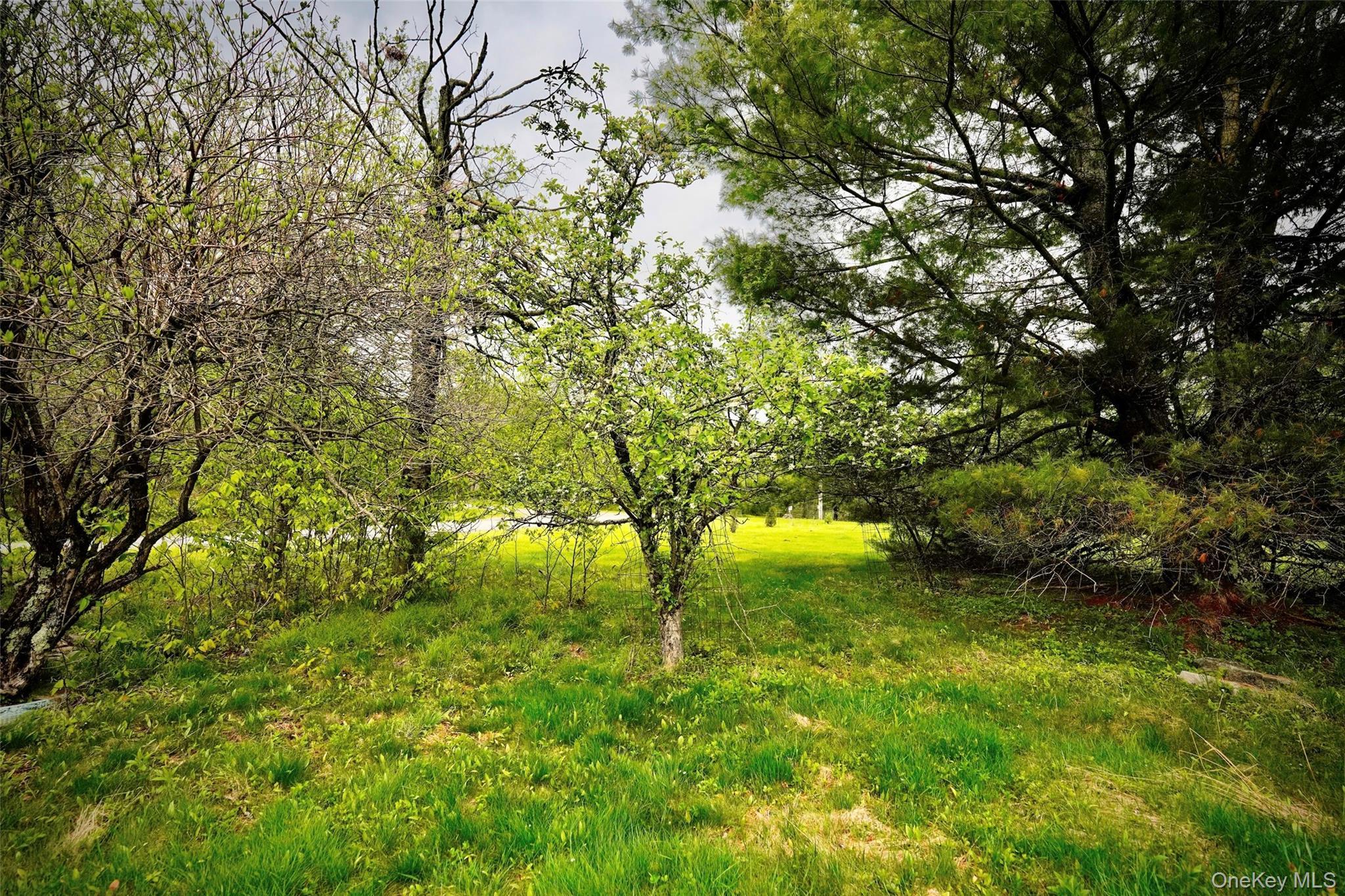 Single Family Old Hunter Road Sullivan County, NY 12758, MLS-1003751-16