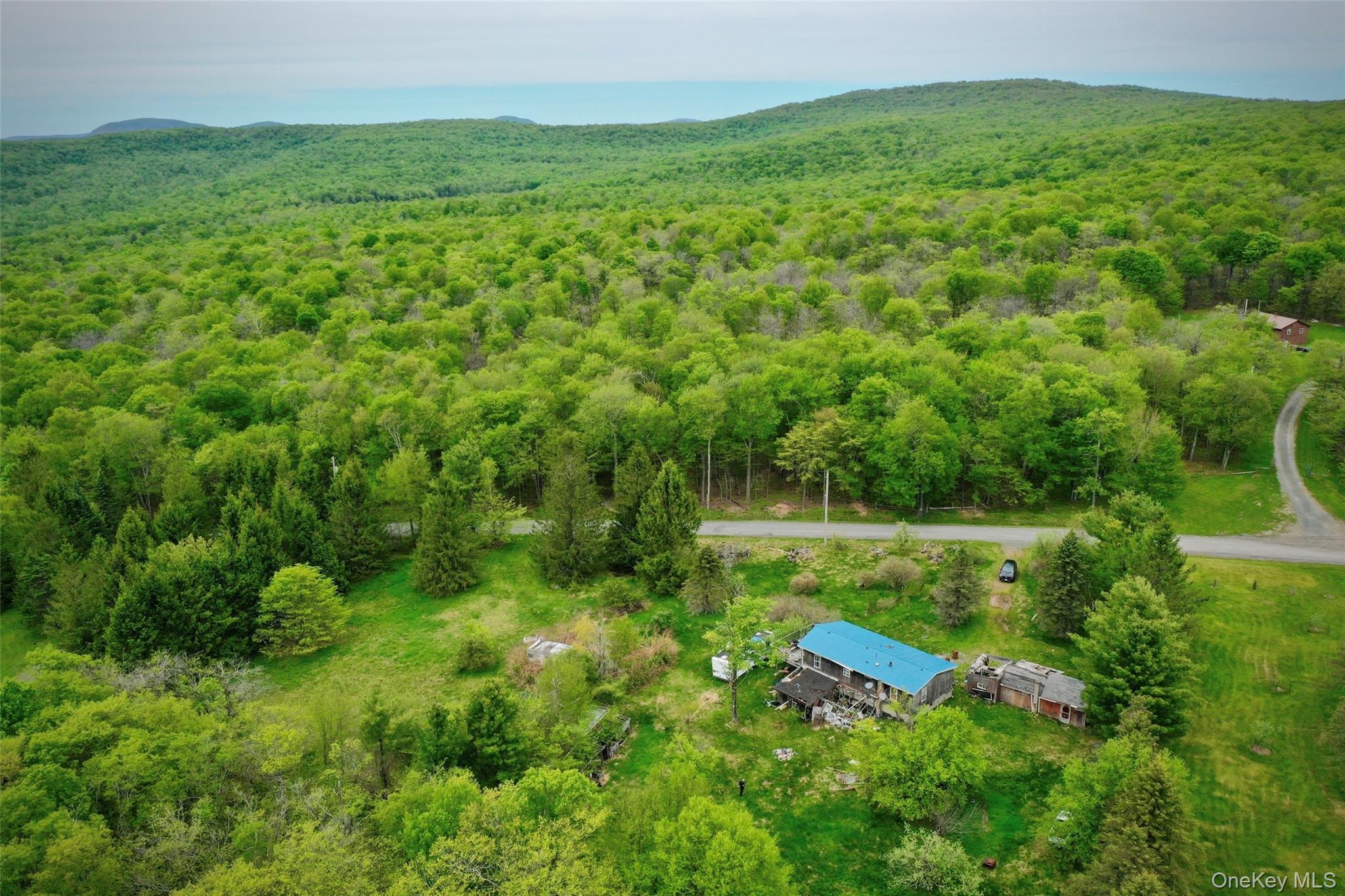 Single Family Old Hunter Road Sullivan County, NY 12758, MLS-1003751-2