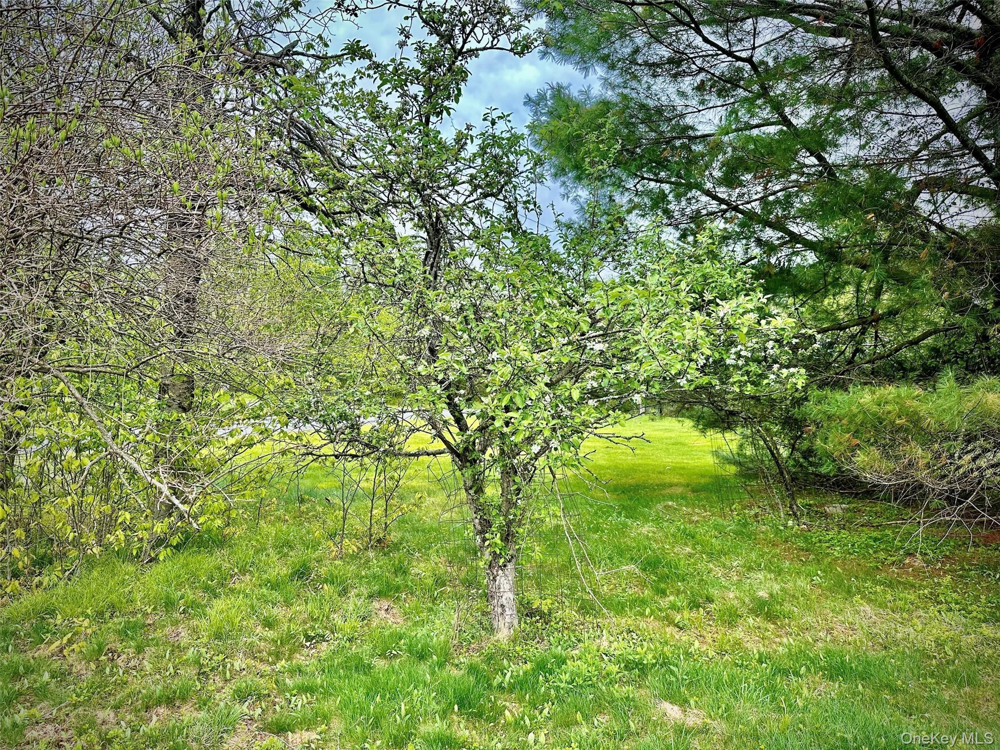 Single Family Old Hunter Road Sullivan County, NY 12758, MLS-1003751-26