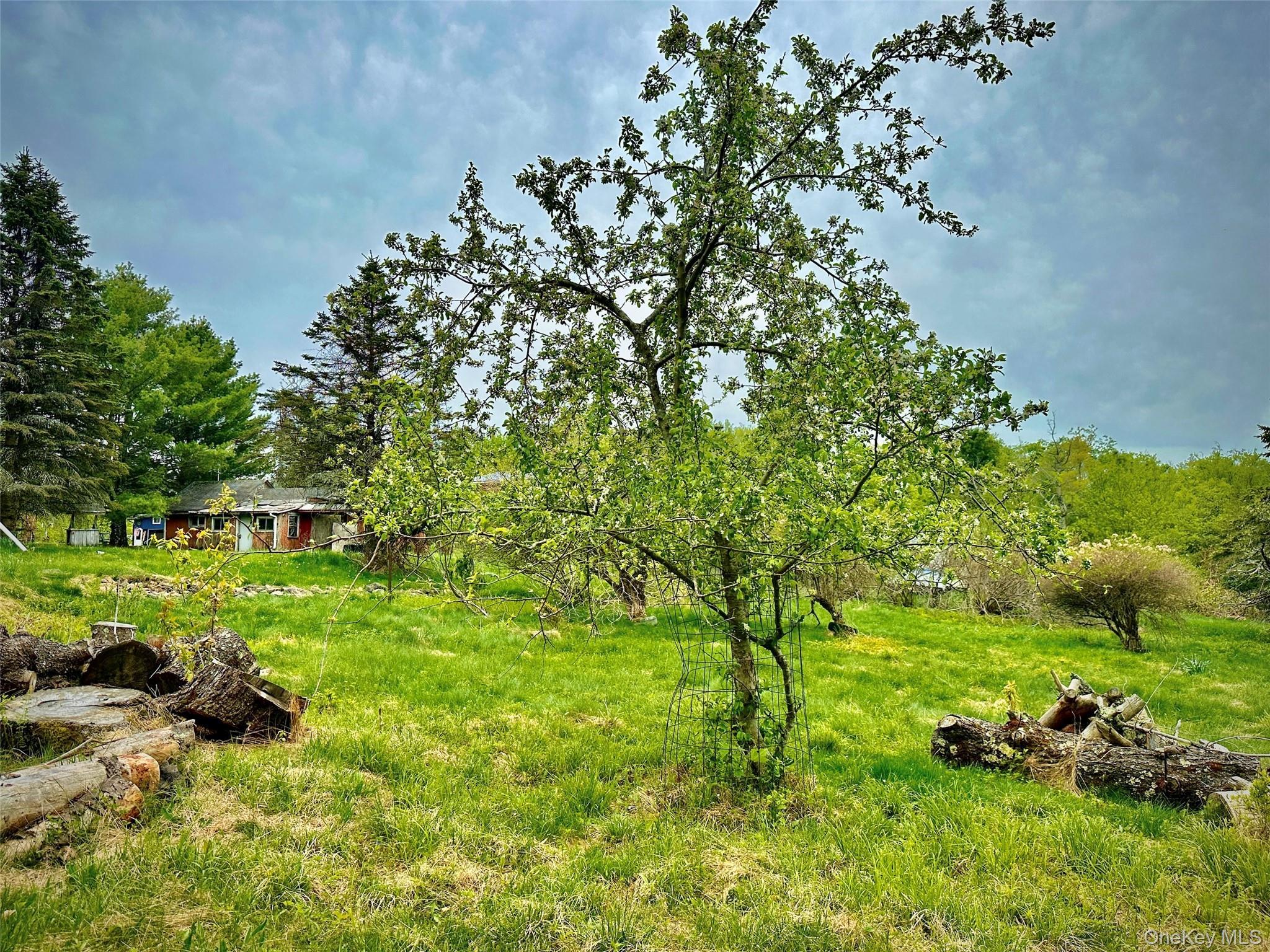 Single Family Old Hunter Road Sullivan County, NY 12758, MLS-1003751-27