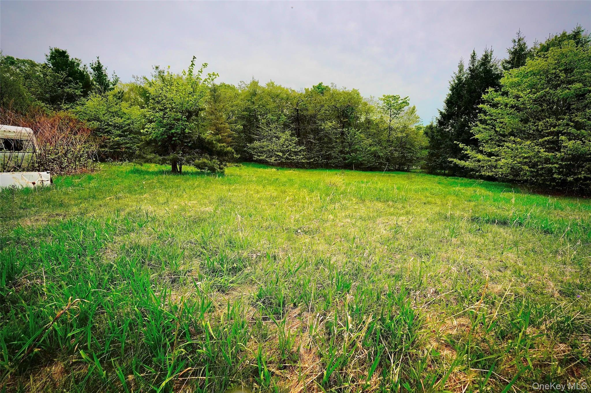 Single Family Old Hunter Road Sullivan County, NY 12758, MLS-1003751-28
