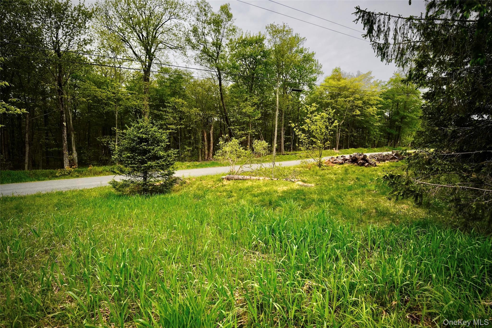Single Family Old Hunter Road Sullivan County, NY 12758, MLS-1003751-29