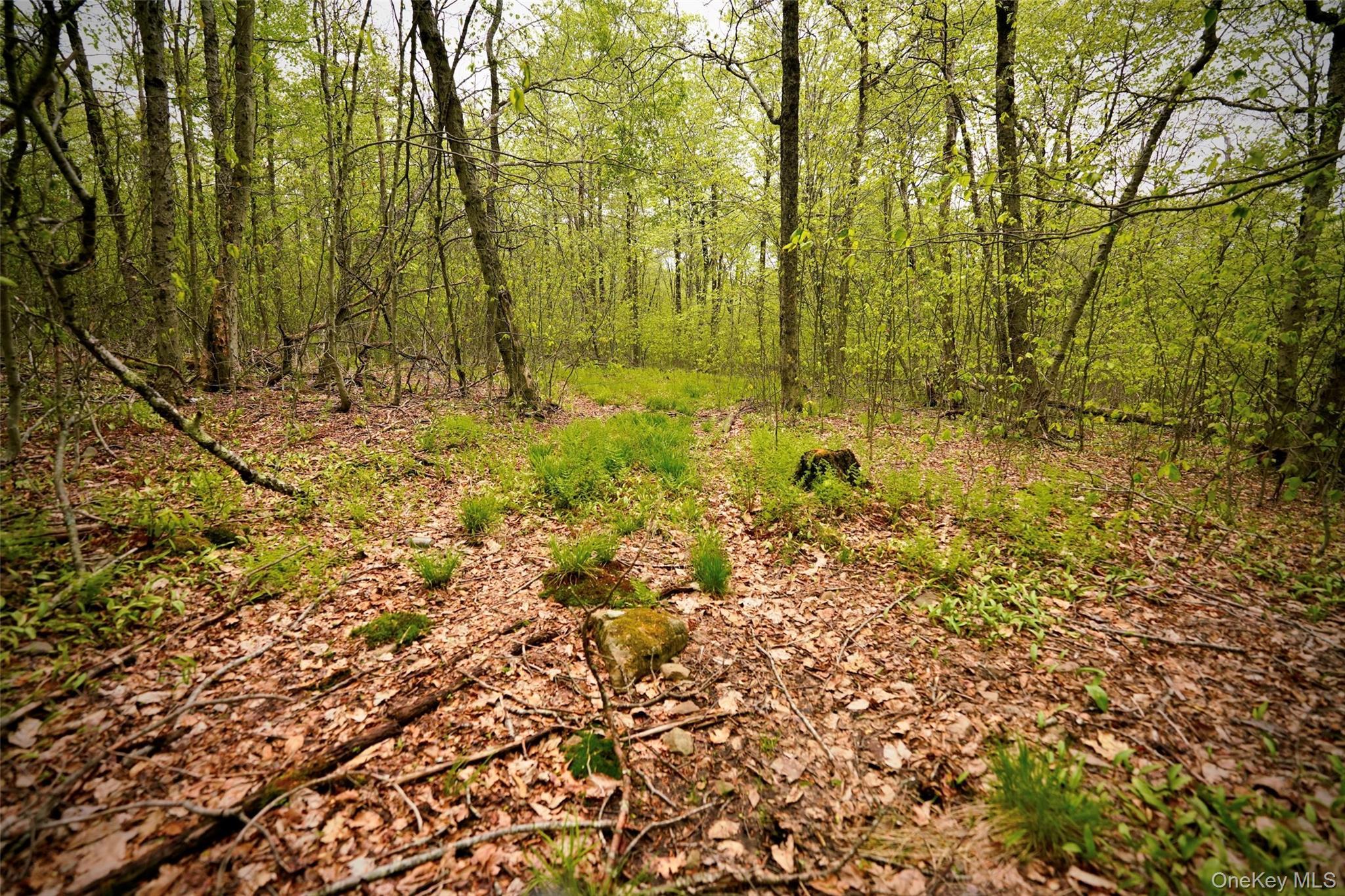 Single Family Old Hunter Road Sullivan County, NY 12758, MLS-1003751-32