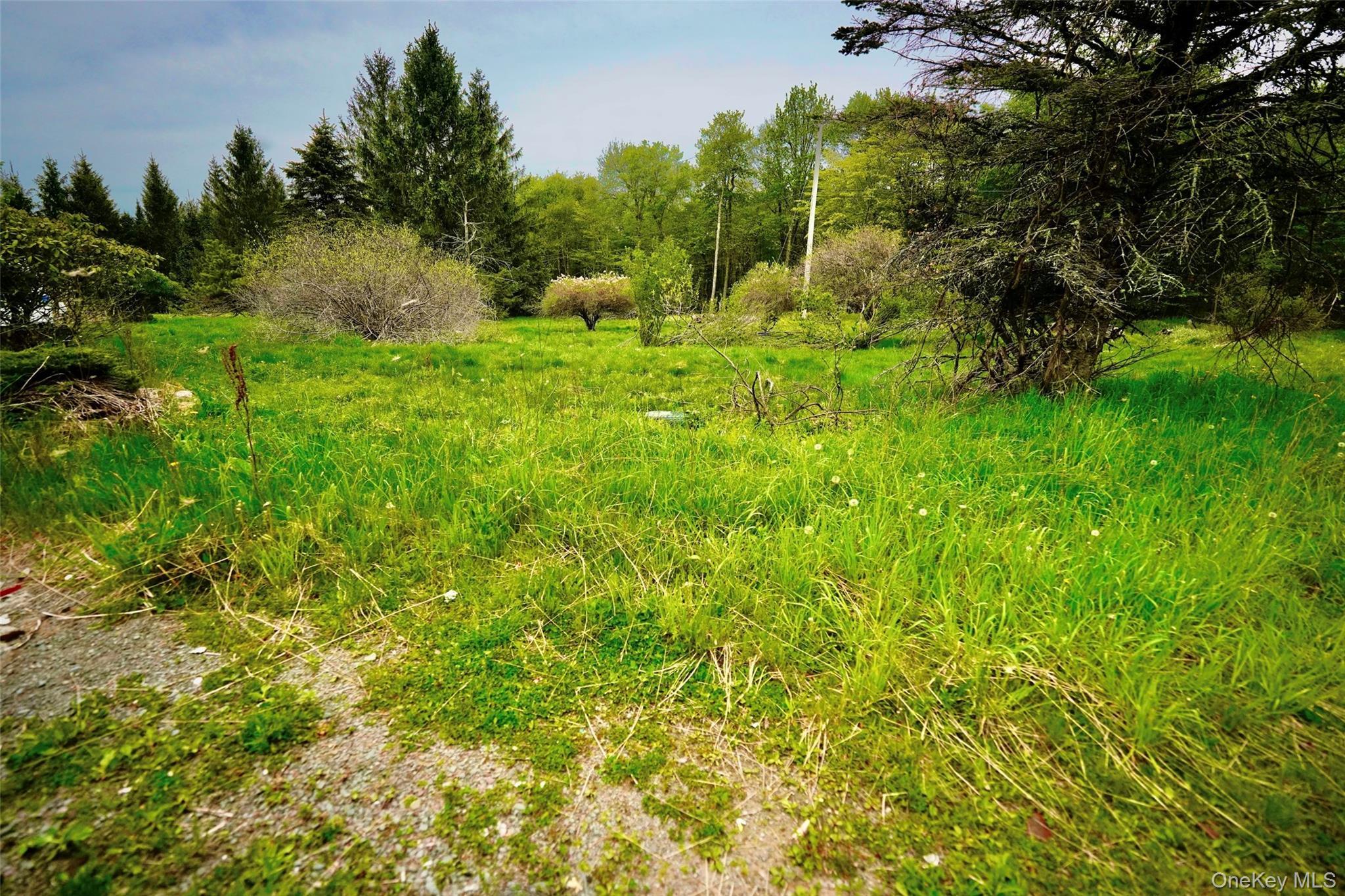 Single Family Old Hunter Road Sullivan County, NY 12758, MLS-1003751-34