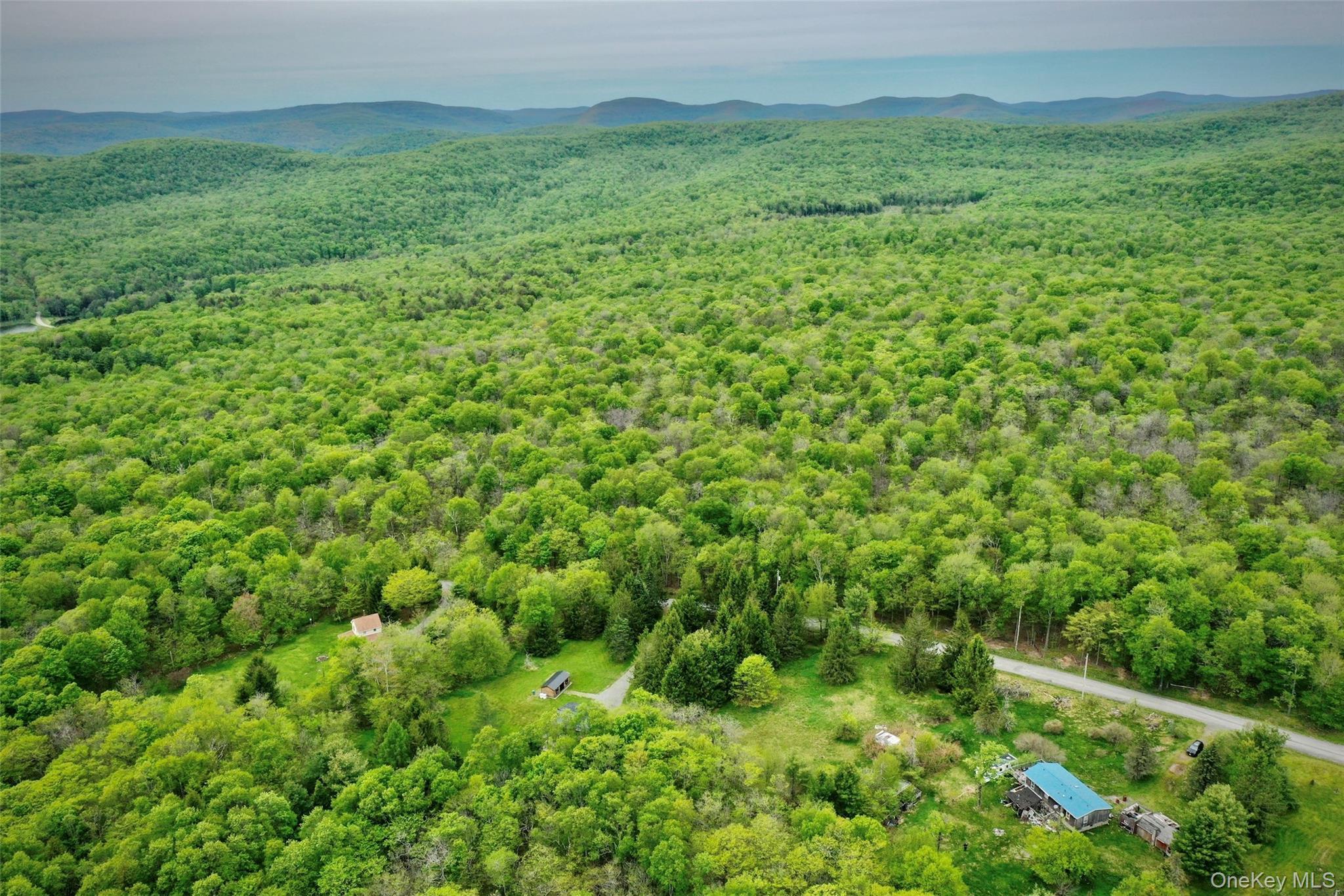 Single Family Old Hunter Road Sullivan County, NY 12758, MLS-1003751-8