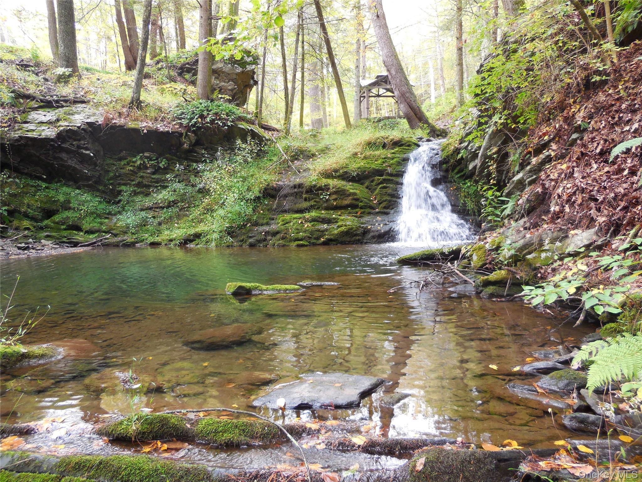 Single Family Red Hill Road Sullivan County, NY 12790, MLS-1003761-32