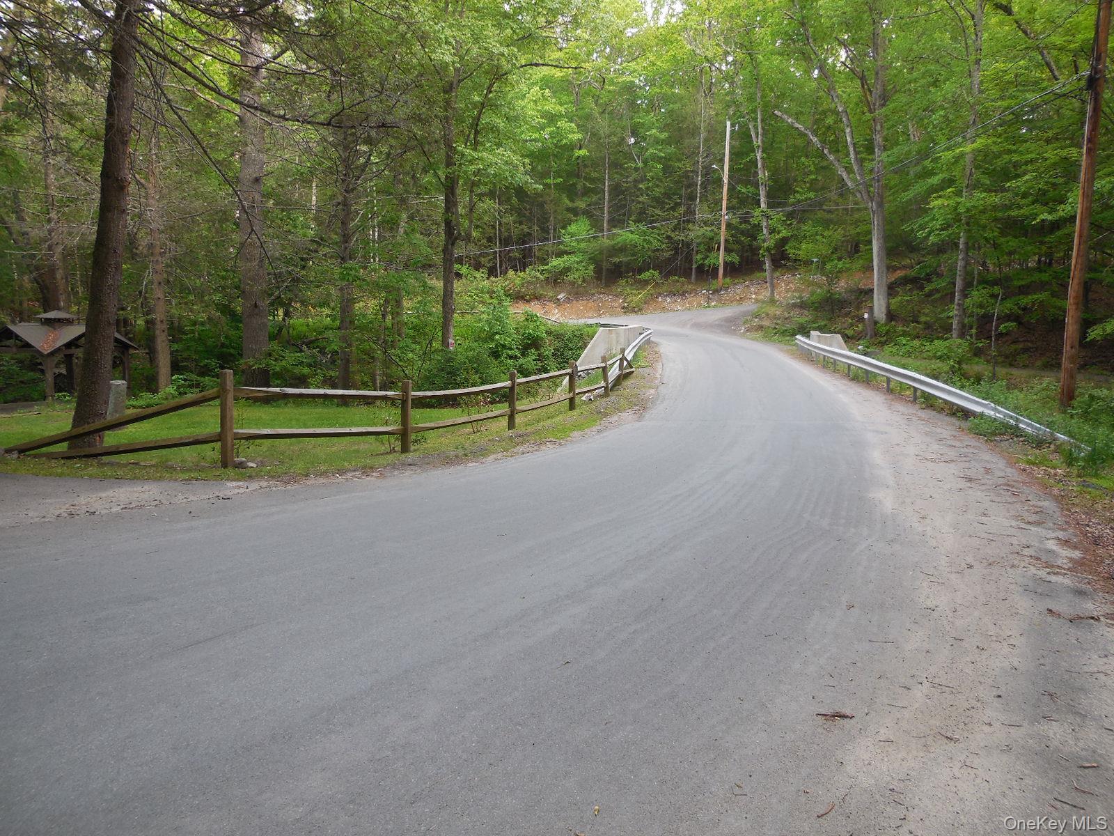 Single Family Red Hill Road Sullivan County, NY 12790, MLS-1003761-39