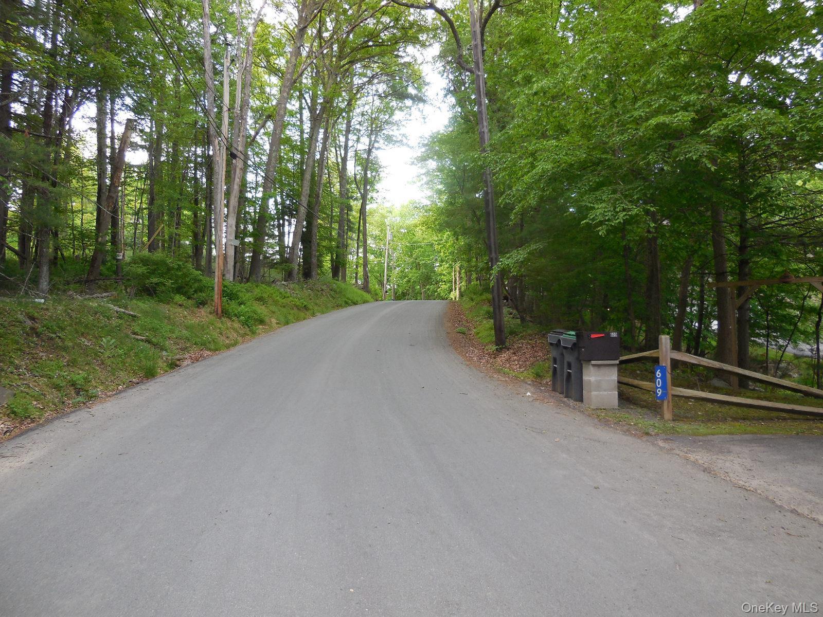 Single Family Red Hill Road Sullivan County, NY 12790, MLS-1003761-40