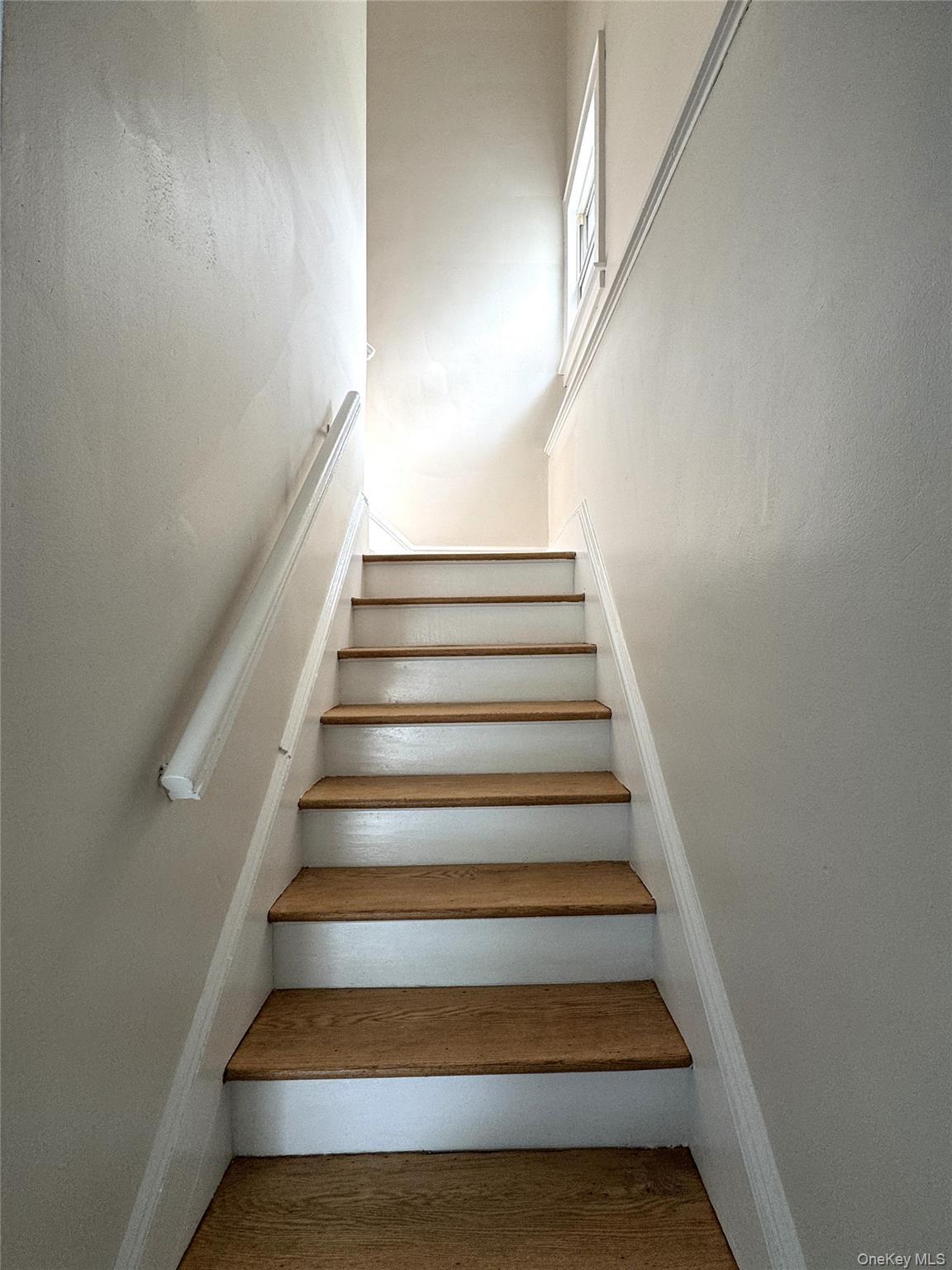 Single Family Bayside Avenue Queens, NY 11354, MLS-1003832-22