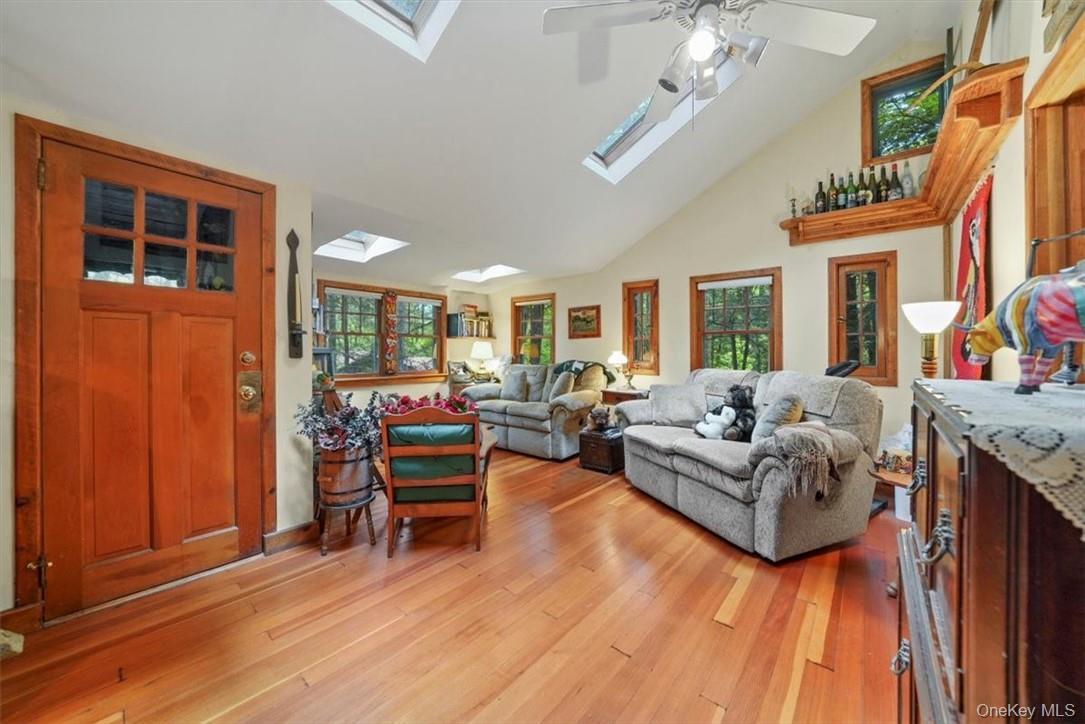 Single Family Adirondack Sullivan County, NY 12778, MLS-1003927-10