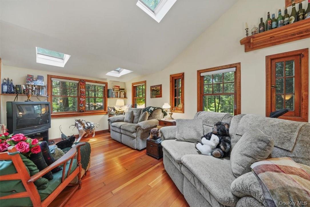 Single Family Adirondack Sullivan County, NY 12778, MLS-1003927-11