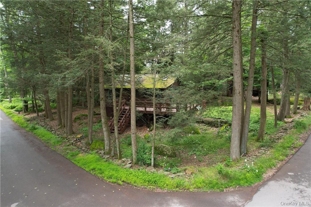 Single Family Adirondack Sullivan County, NY 12778, MLS-1003927-23