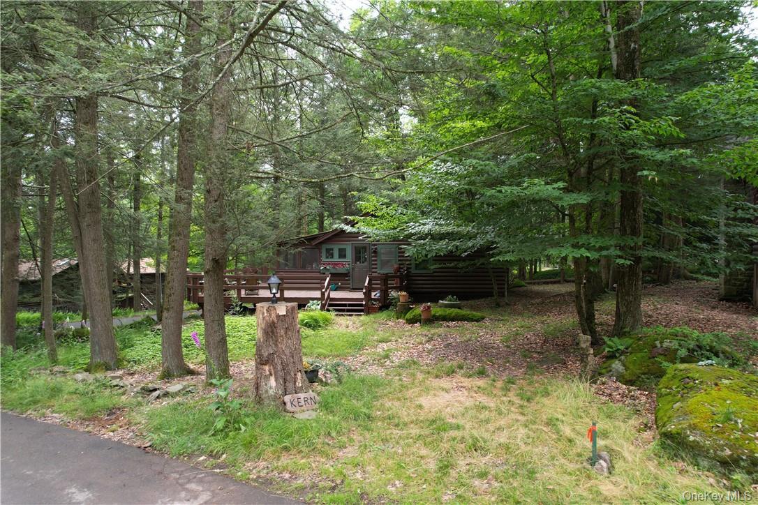 Single Family Adirondack Sullivan County, NY 12778, MLS-1003927-24