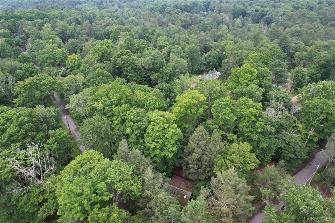 Single Family Adirondack Sullivan County, NY 12778, MLS-1003927-25