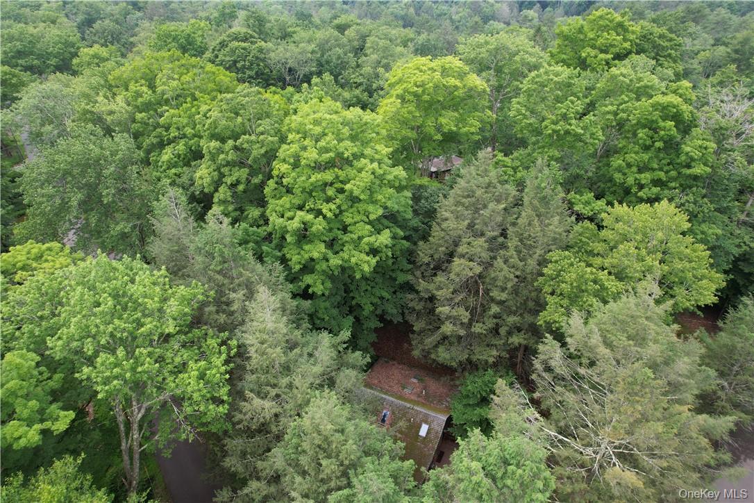 Single Family Adirondack Sullivan County, NY 12778, MLS-1003927-26