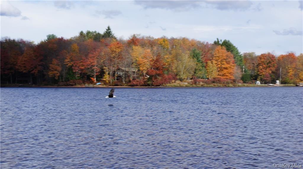 Single Family Adirondack Sullivan County, NY 12778, MLS-1003927-29