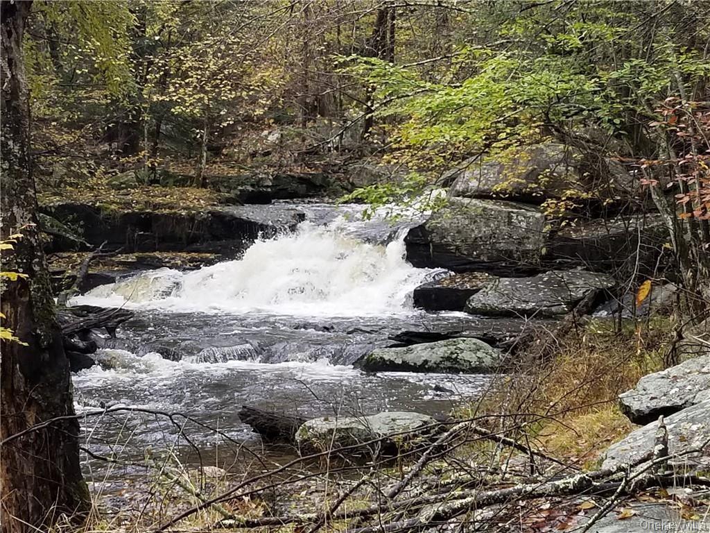 Single Family Adirondack Sullivan County, NY 12778, MLS-1003927-30