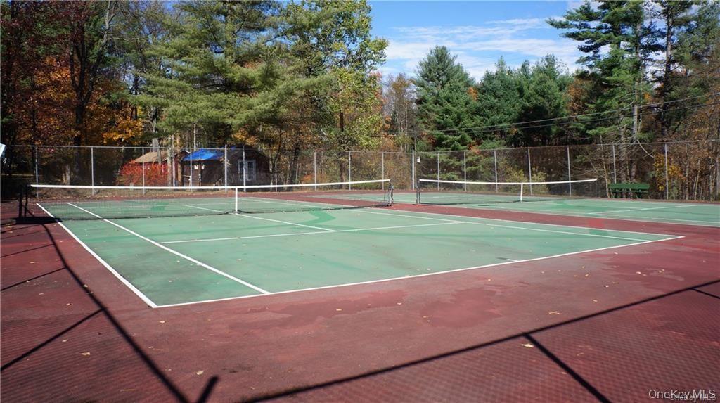 Single Family Adirondack Sullivan County, NY 12778, MLS-1003927-34