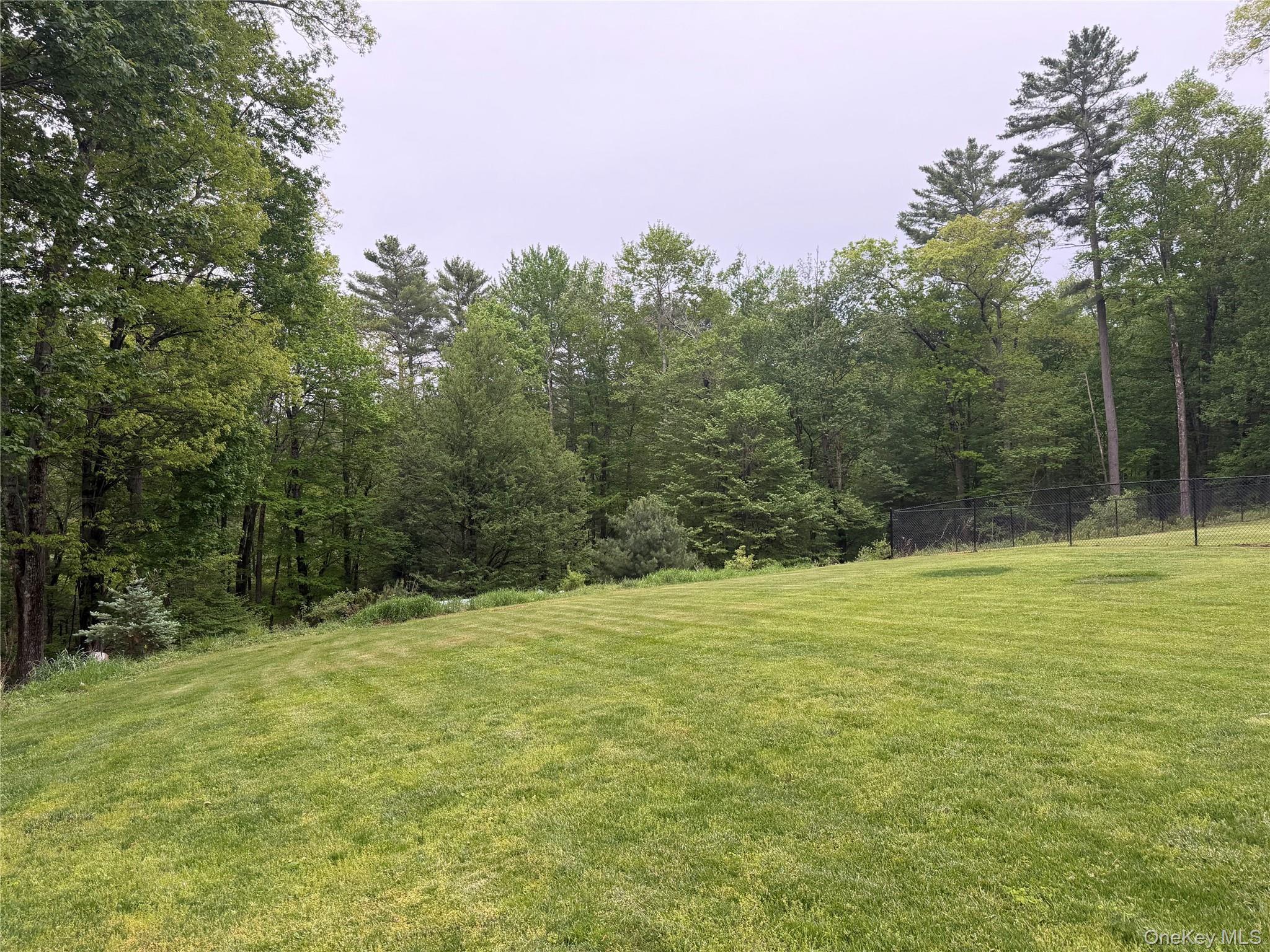 Single Family Sackett Lake Road Sullivan County, NY 12777, MLS-1003954-42
