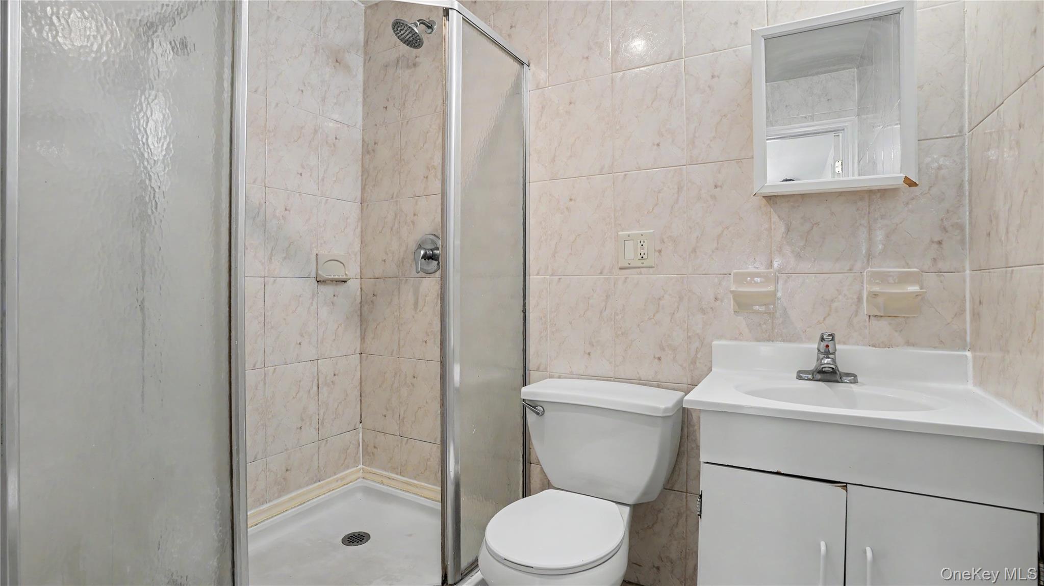 Single Family Decatur Street Brooklyn, NY 11207, MLS-1003973-19