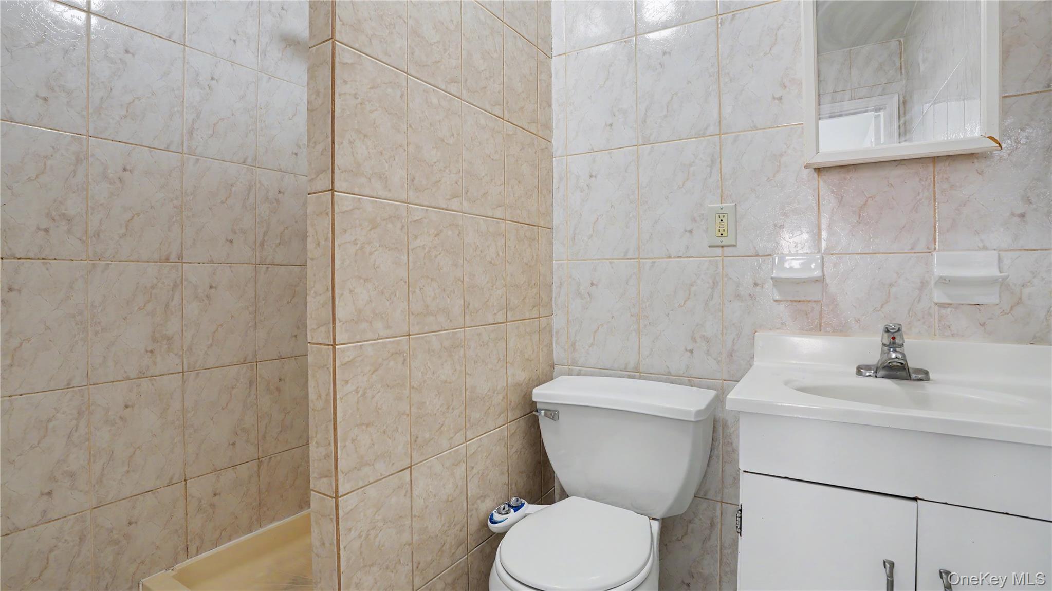 Single Family Decatur Street Brooklyn, NY 11207, MLS-1003973-28