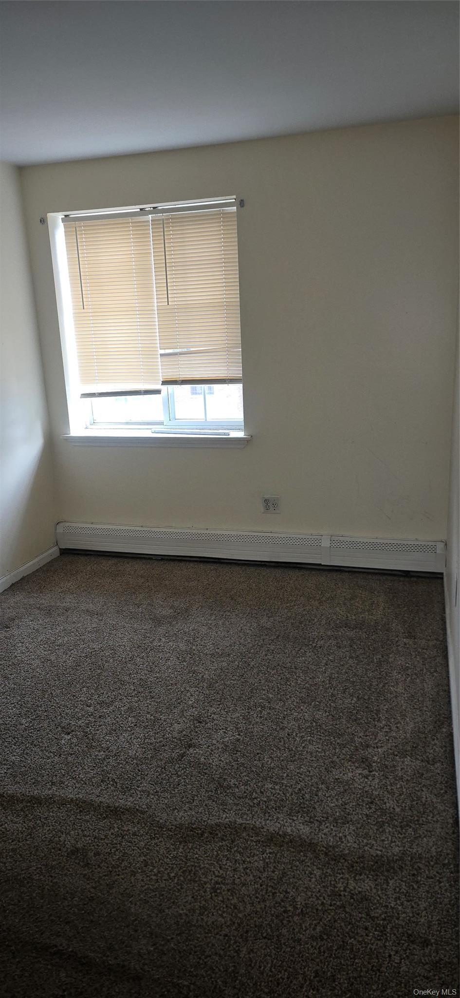 Apartment Sutter  Brooklyn, NY 11212, MLS-1004007-10