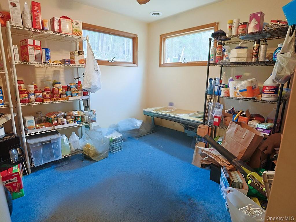 Single Family Kennel  Orange County, NY 12729, MLS-1004038-17
